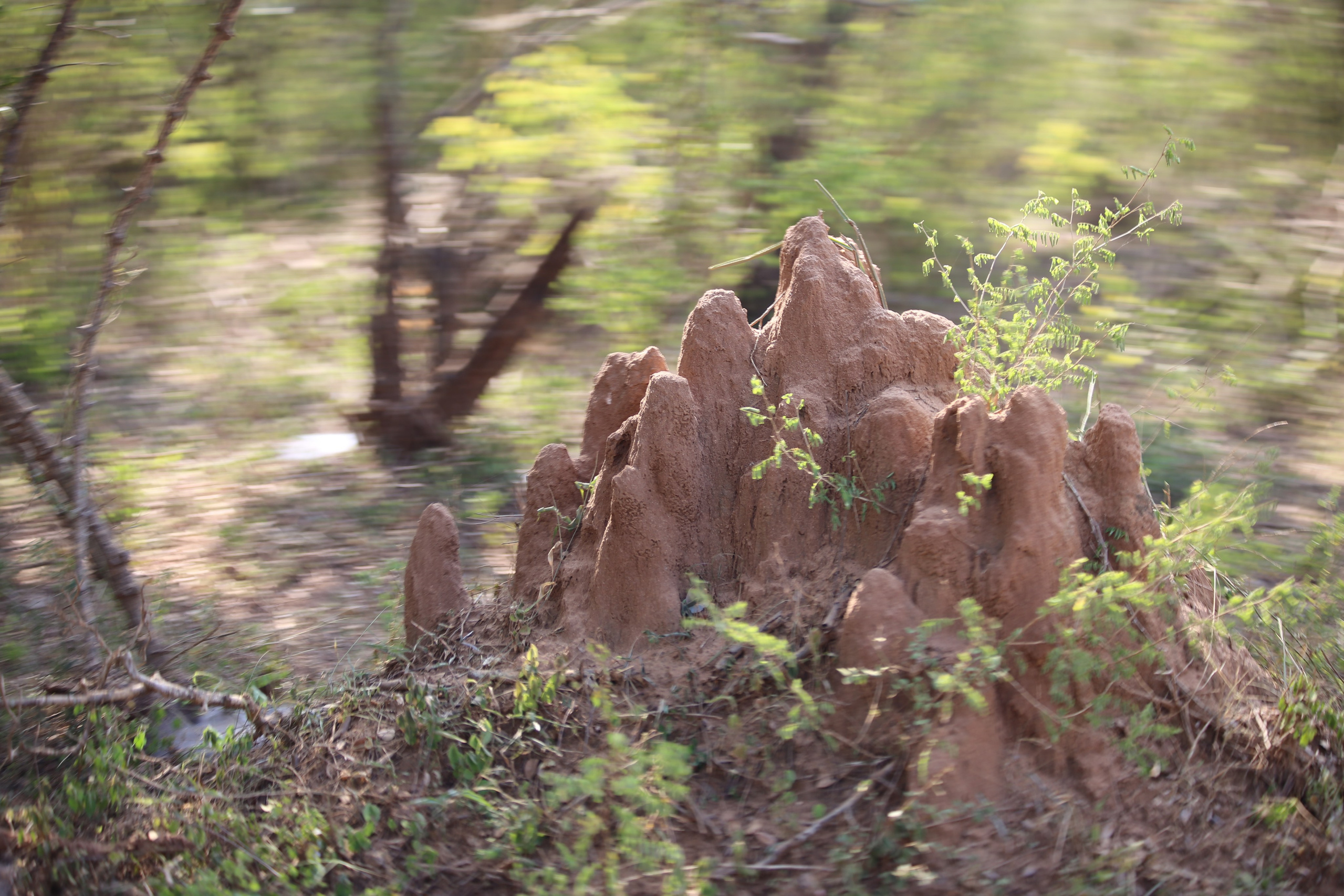 2017 — Шри — Ланка. OneSnap