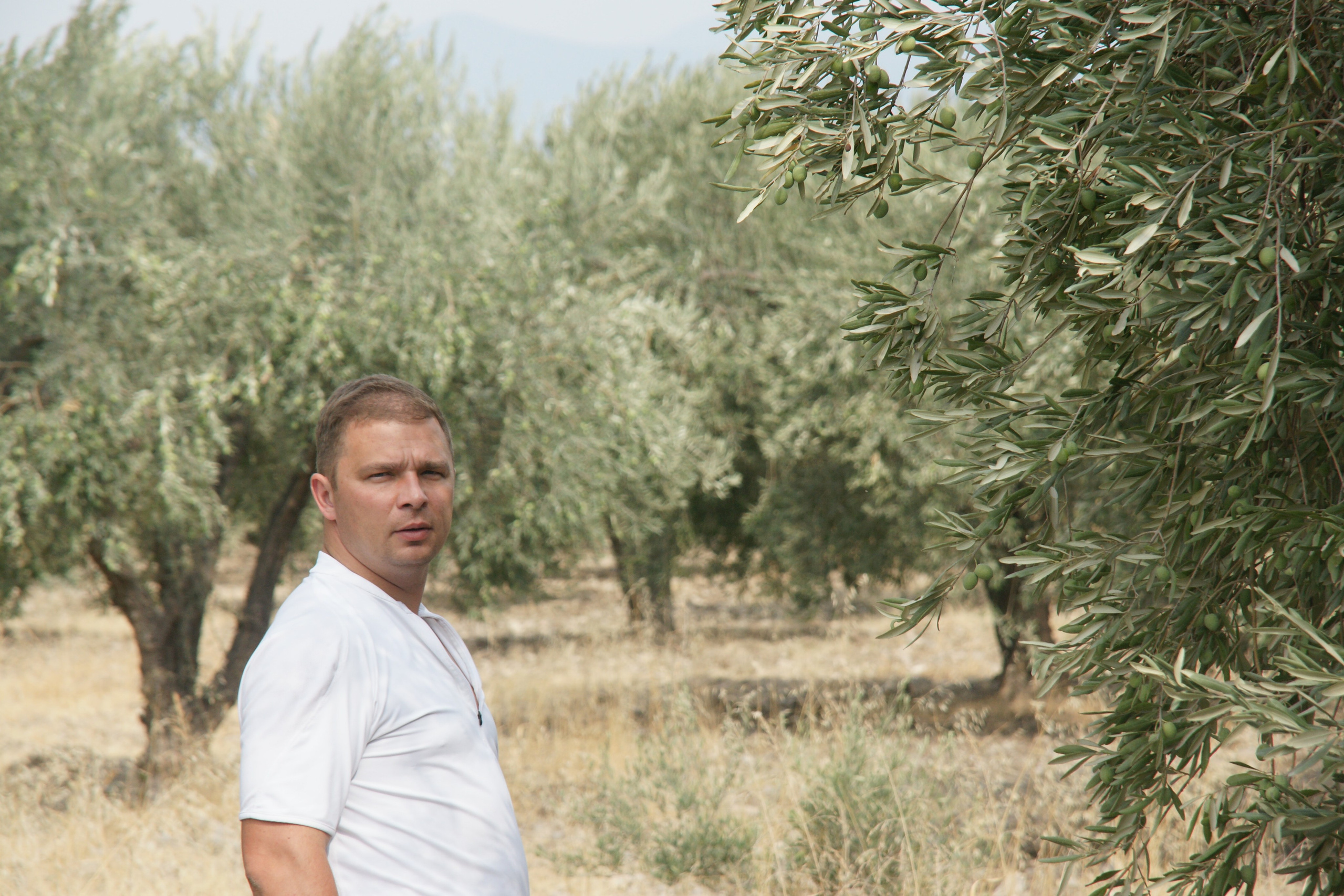 2012 — Греция. OneSnap