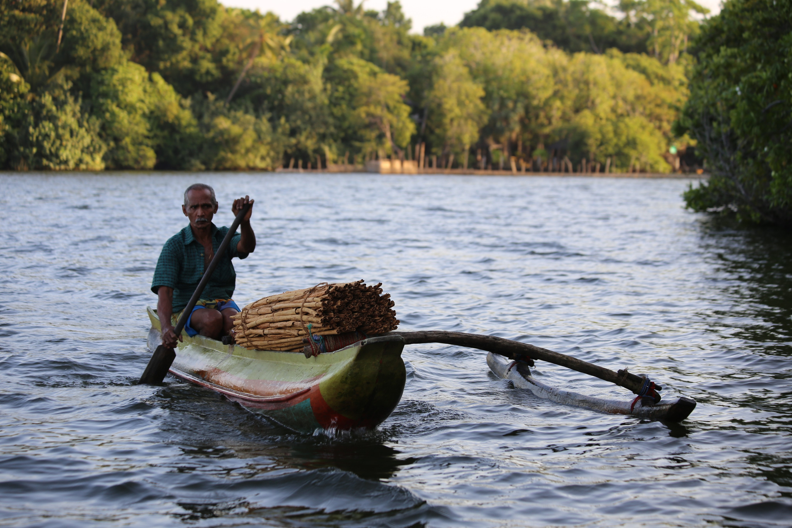 2017 — Шри — Ланка. OneSnap