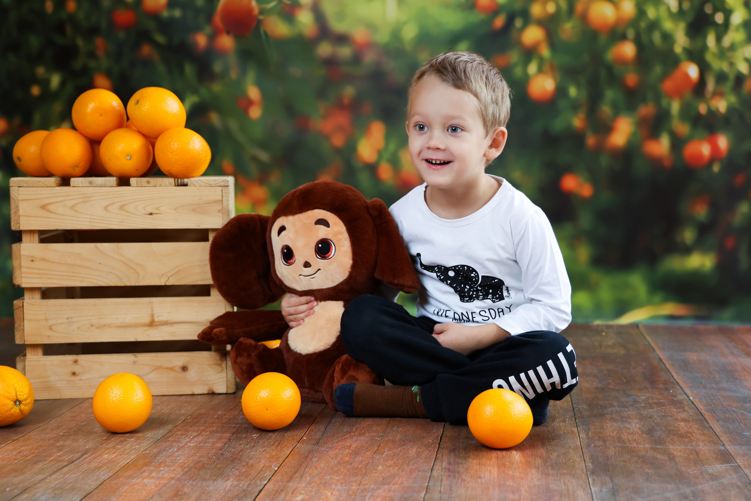 Фотопроекты для дошкольников