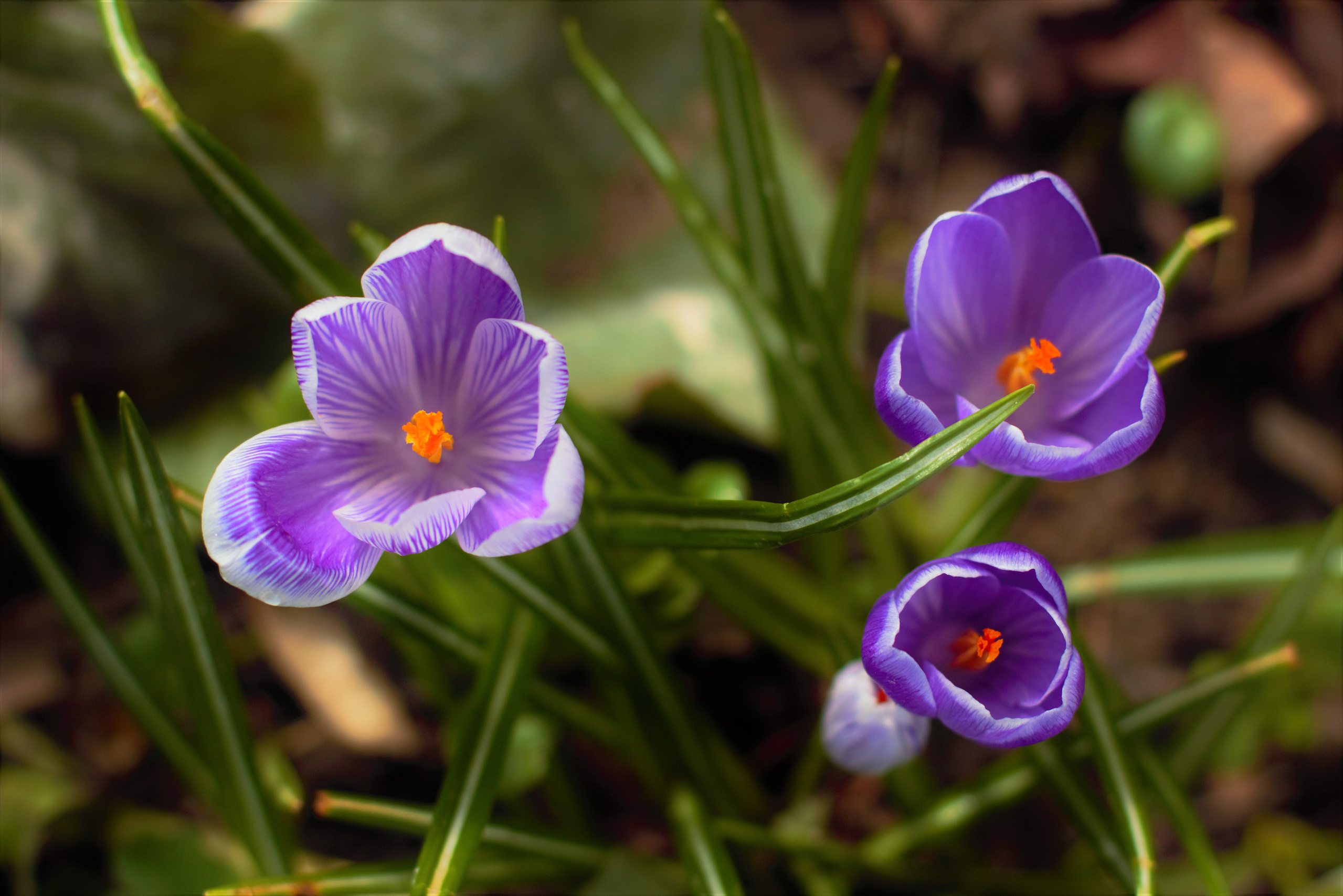 Фотограф в Москве Светлана Богначева