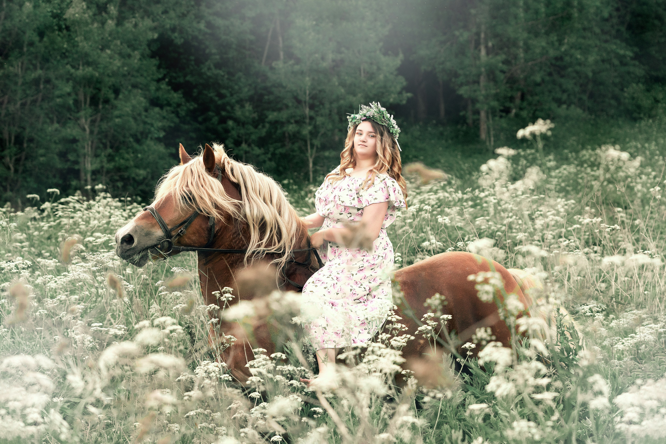 фотосессия на лошади в Калуге