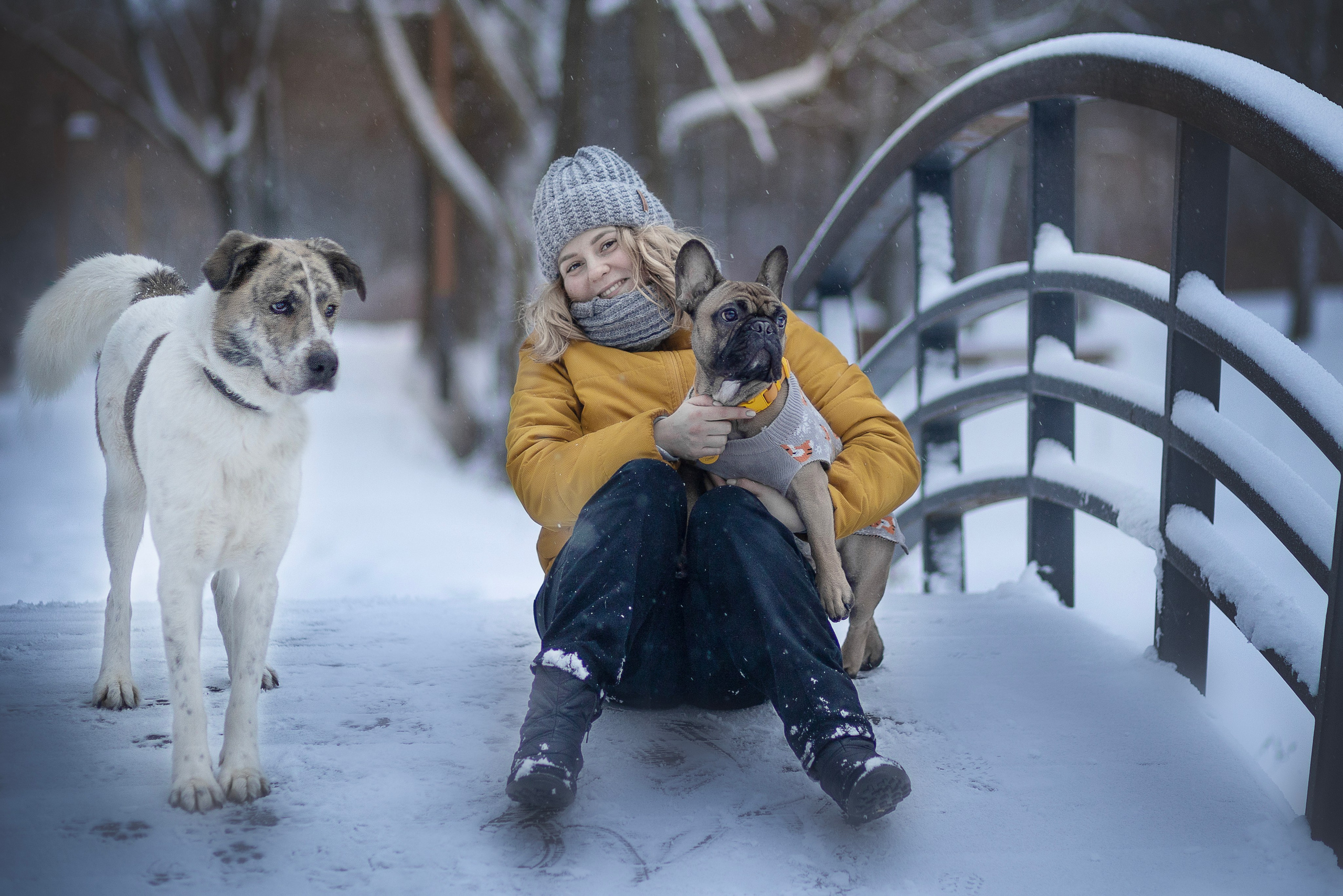 Услуги и цены. Фотограф-анималист в Москве и Подмосковье