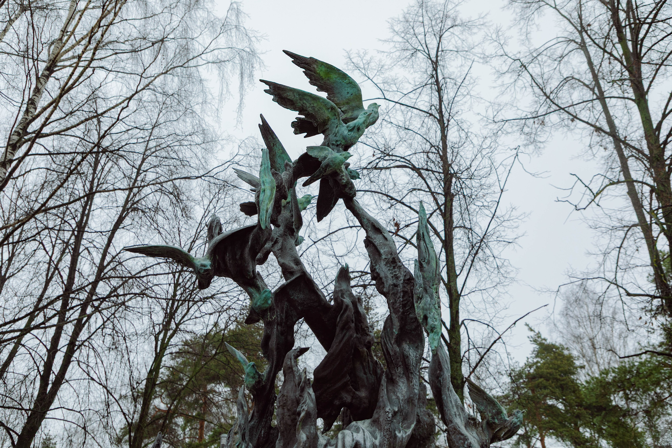 Открытие памятника «Погибшим в пандемию Ковид-19». Репортажный и концертный фотограф в Санкт-Петербурге Адмакина Дарья