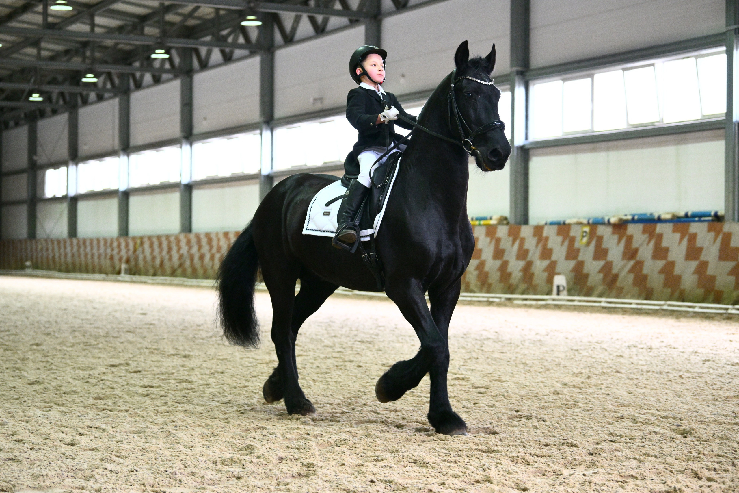 2025.10.12 — КСК ЮНОСТЬ МОСКВЫ (Кузьминки) ВЫЕЗДКА. ТУРНИРНАЯ КОННАЯ ФОТОГРАФИЯ, Руднева Ольга и Евгений Адеев