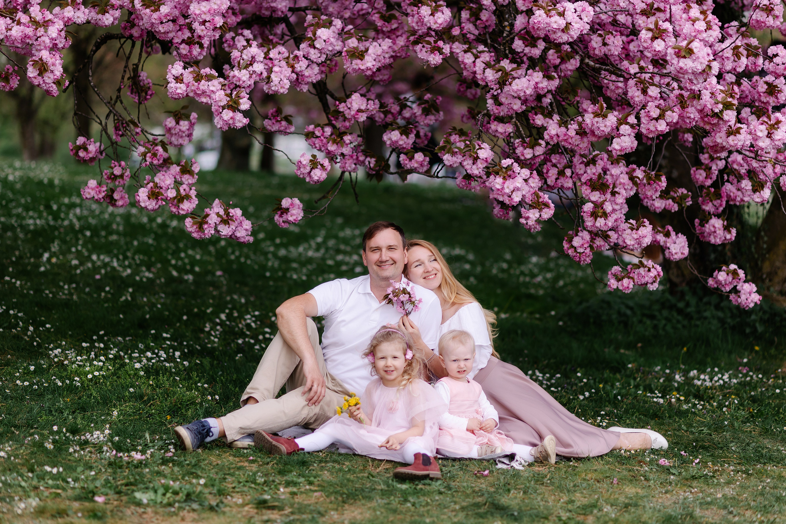 Orte für Fotoshootings in München. Kirschblüte in München. Frühling in München. Familienfotograf München. Fotografin in München Dasha Antipina