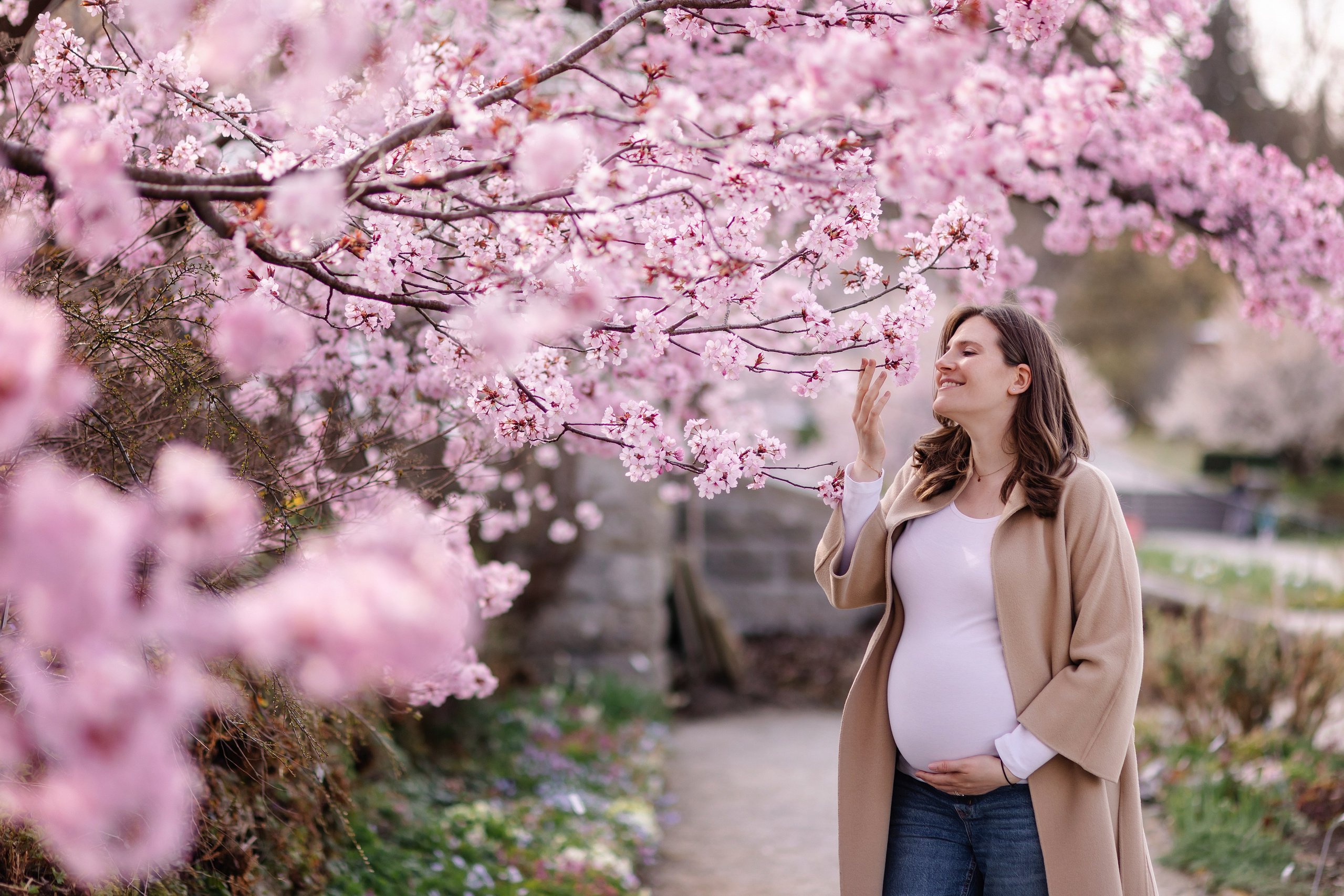 Orte für Fotoshootings in München. Kirschblüte in München. Frühling in München. Familienfotograf München. Fotografin in München Dasha Antipina
