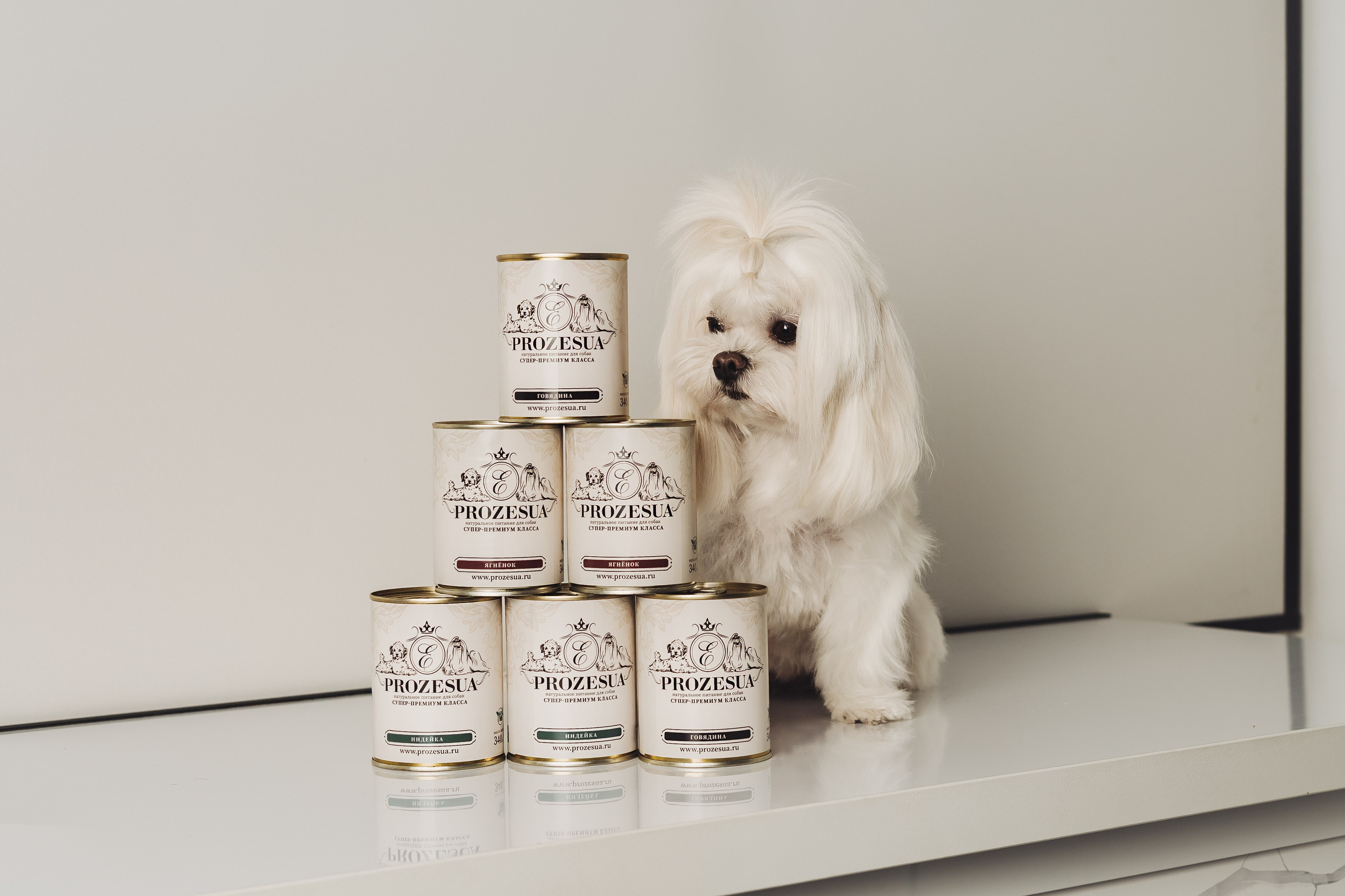 Услуги. Фотограф для людей и их питомцев Вика Шальнева