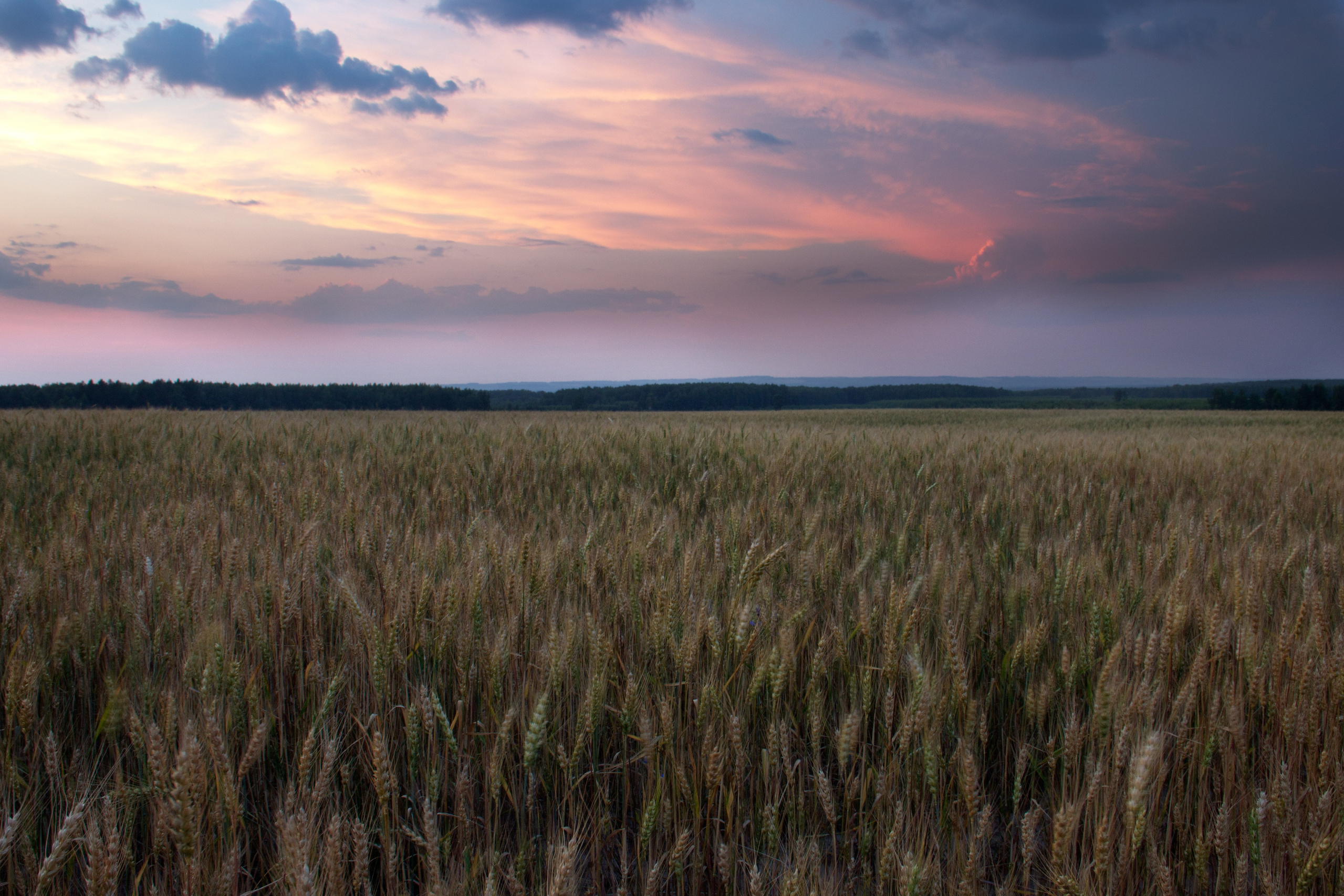 Фото (Пейзаж). Фото и видео съемка в Москве: Одежда, обувь и аксессуары; Еда и продукты питания; Мототехника; Электро и бензо инструменты; Бытовая техника