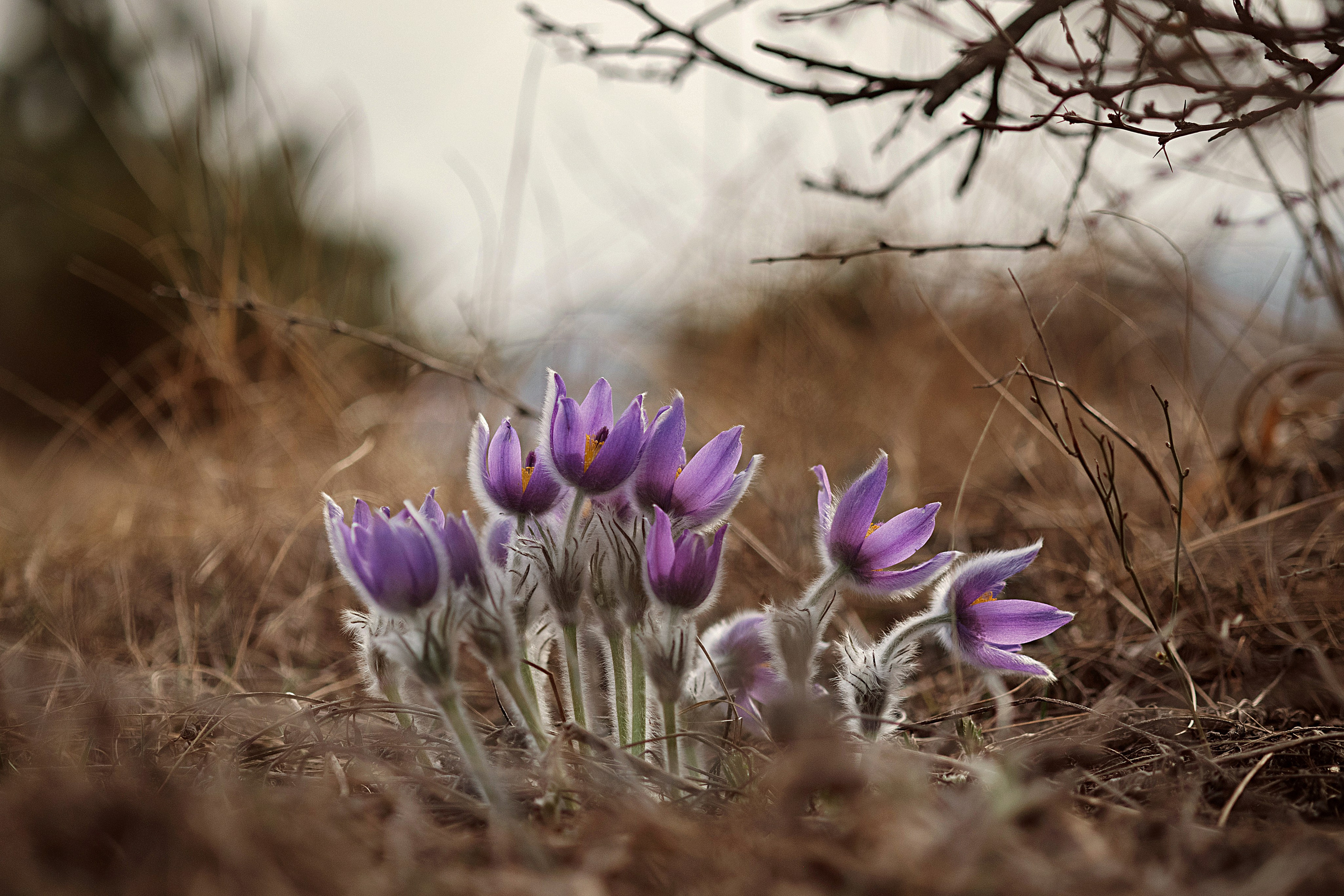 Вопросы/ответы. Фотограф-анималист в Крыму Маковеева Ольга