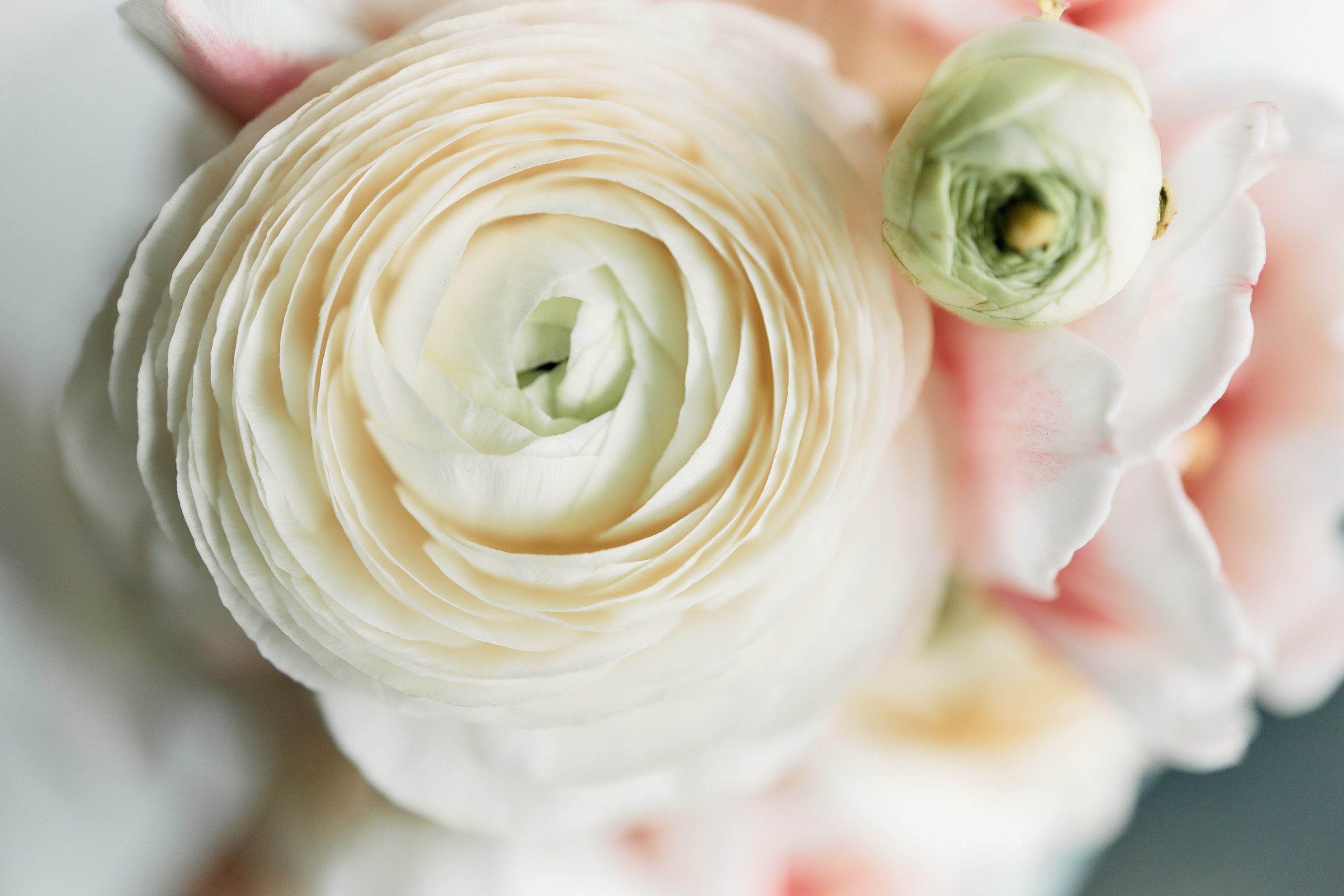 LERA I SERGEI. Свадебный и портретный фотограф