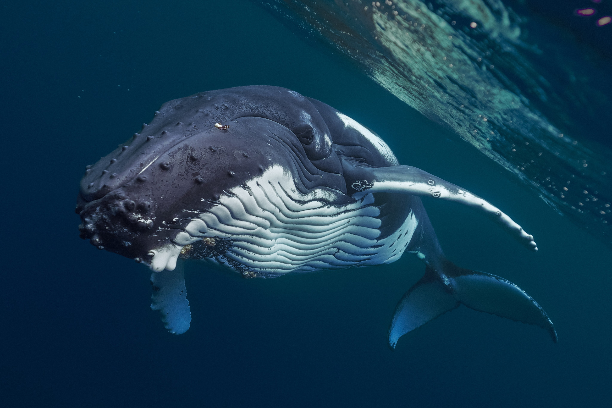 Стельмахович Станислав. ARTEXPOPHOTO