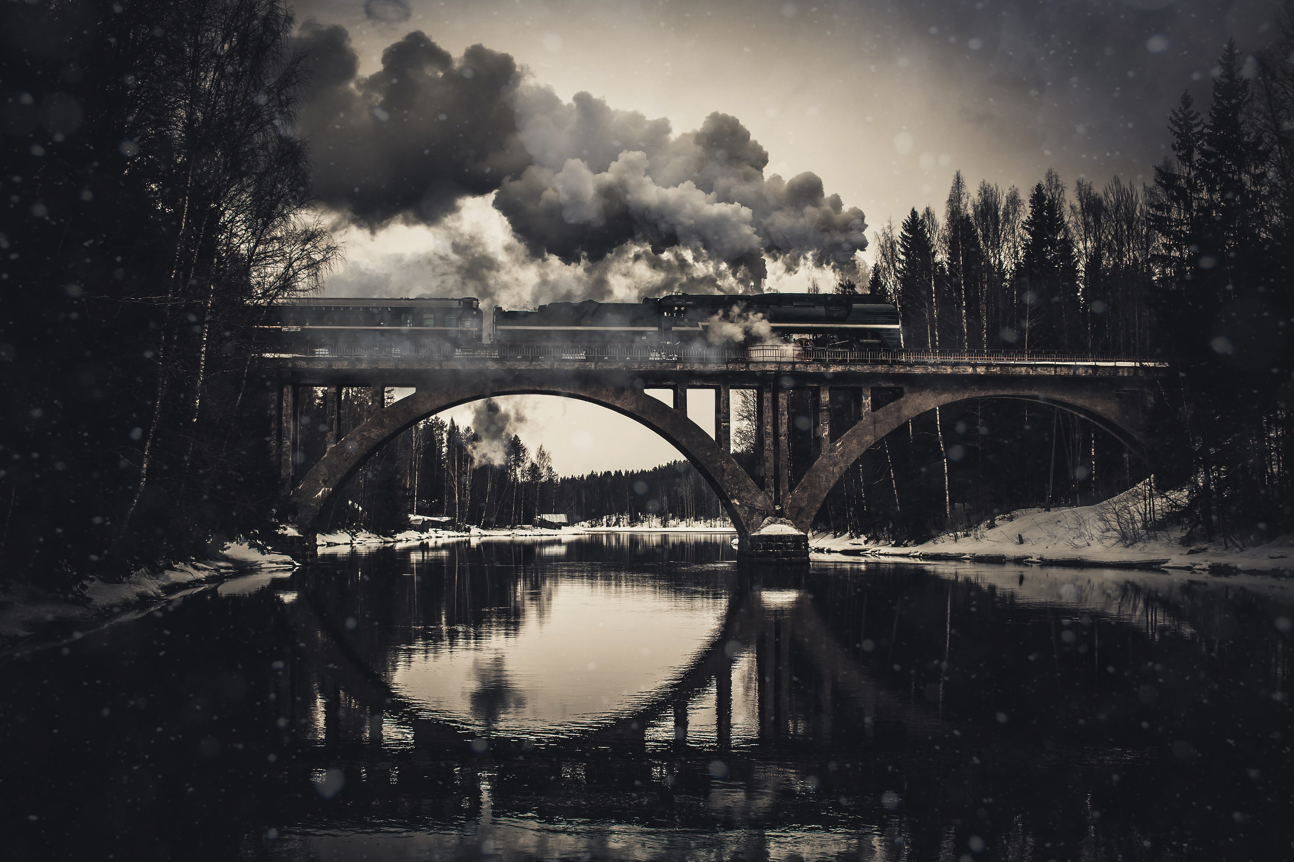 Виденина Надежда. ARTEXPOPHOTO