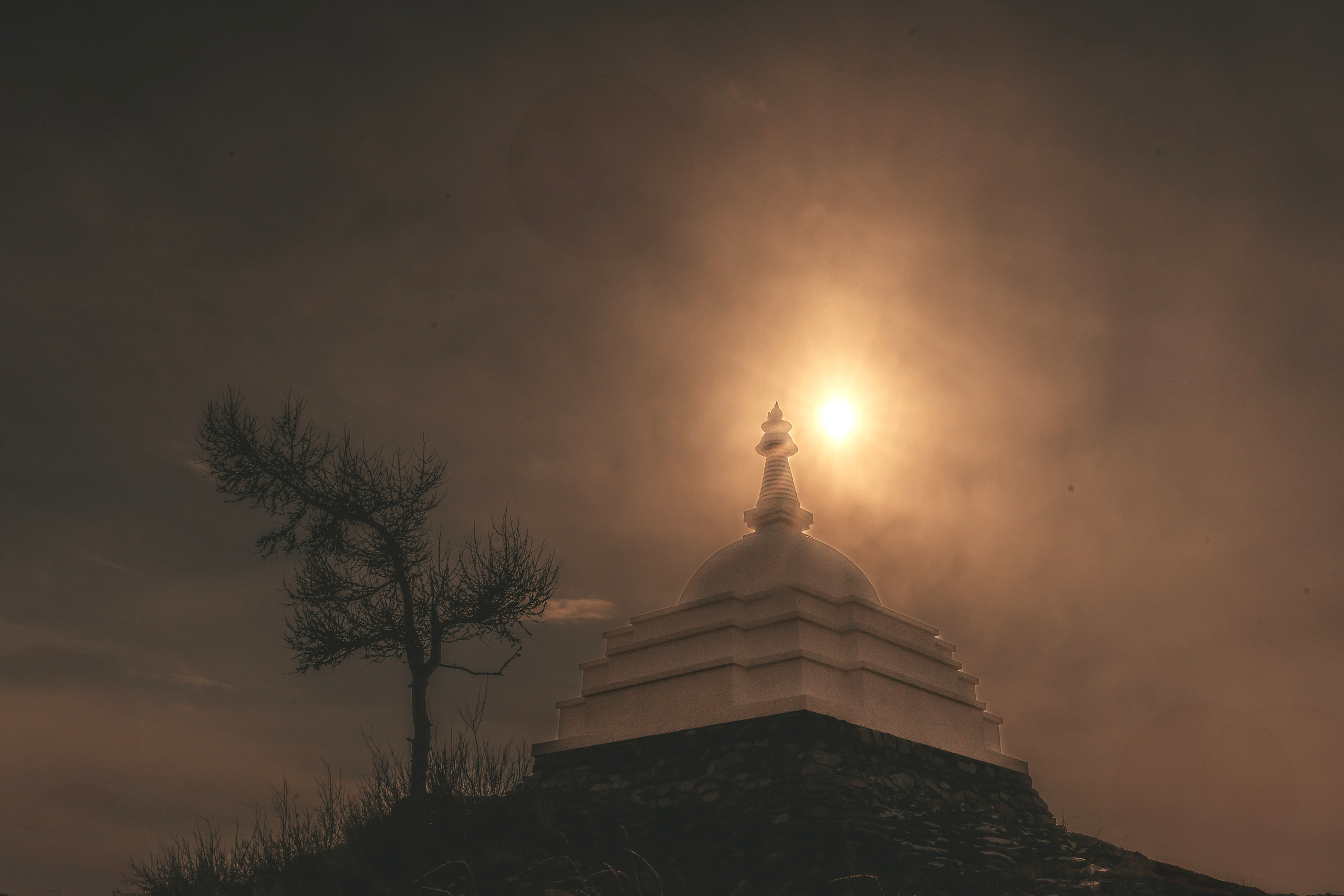 Суздаль Марина. ARTEXPOPHOTO