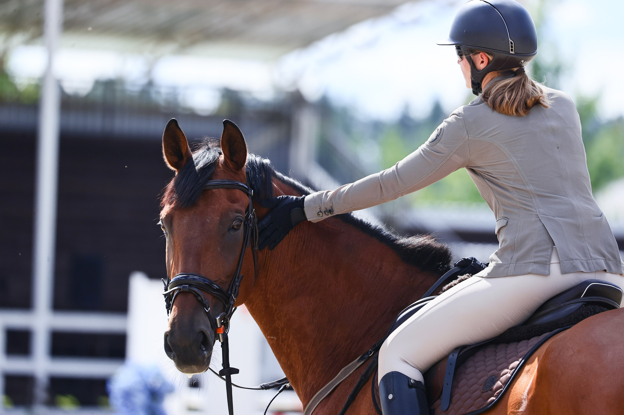 Купить фотографии с турниров. KatymartArt — Equine photography