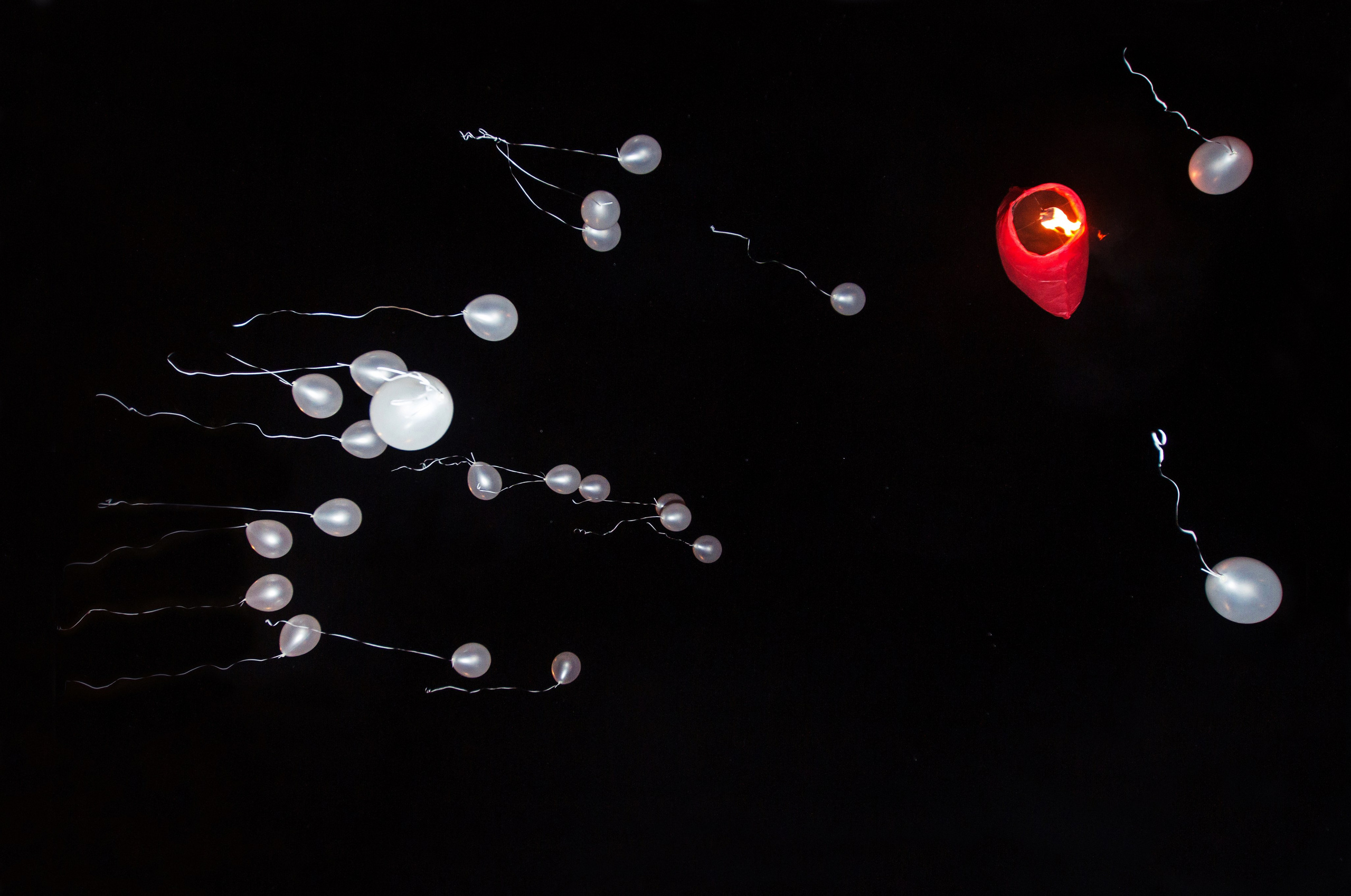 «Случайный кадр». Фотовыставки serebro.gallery, в которых автором можешь стать ты! | Москва