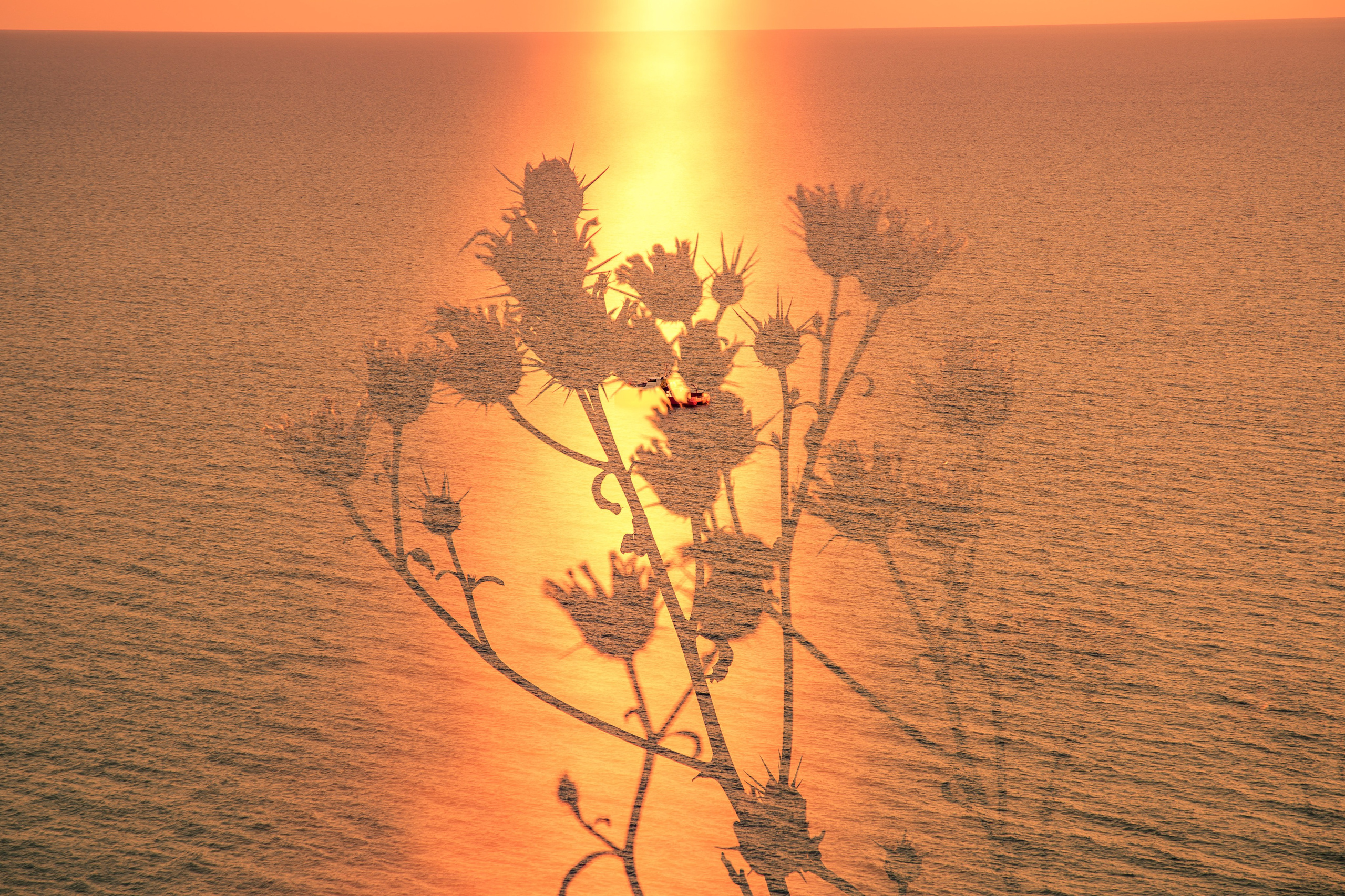 Владислав Ромашев. Семейный и детский фотограф из Москвы