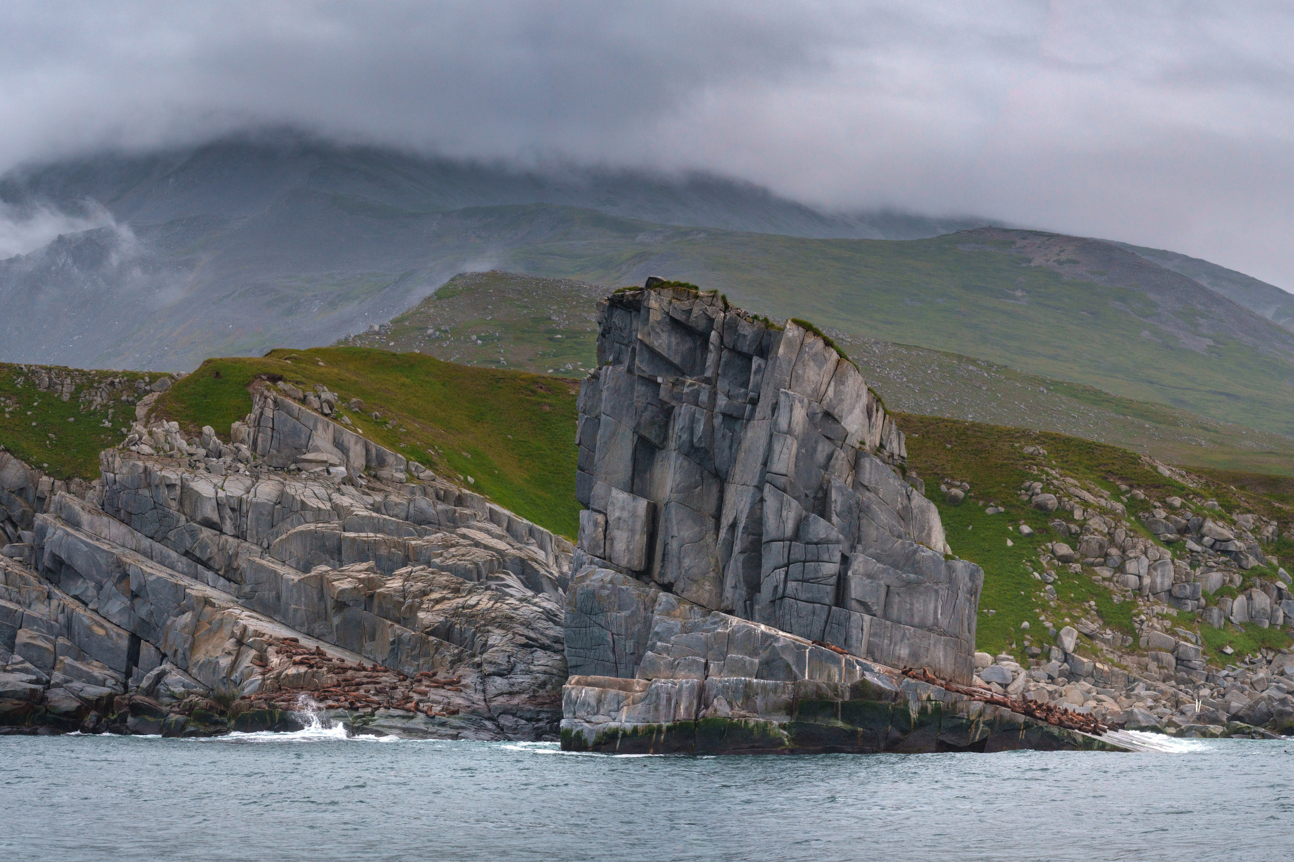 Морская Колыма. Август 2026