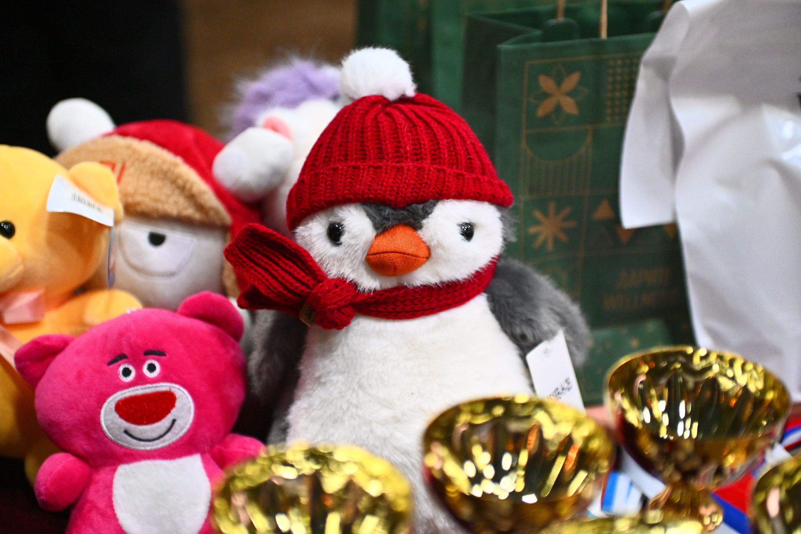 2026-01-25 кск СПИРИТ (выездка и конкур). ТУРНИРНАЯ КОННАЯ ФОТОГРАФИЯ, Руднева Ольга и Евгений Адеев