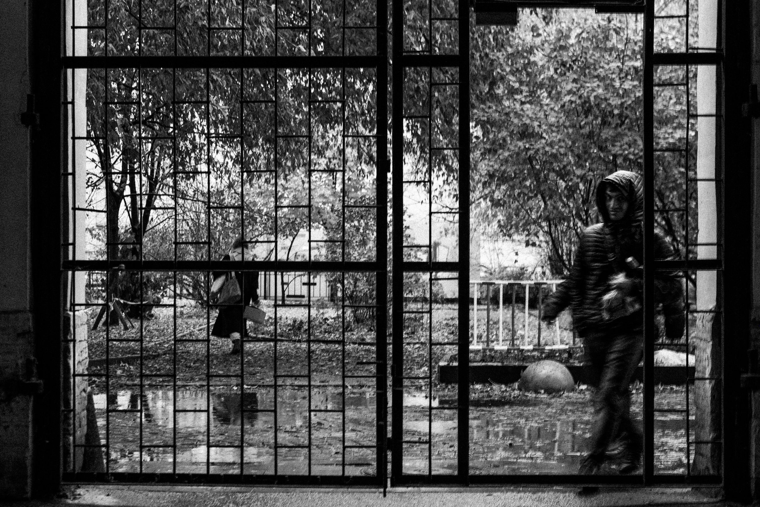 На Васильевском