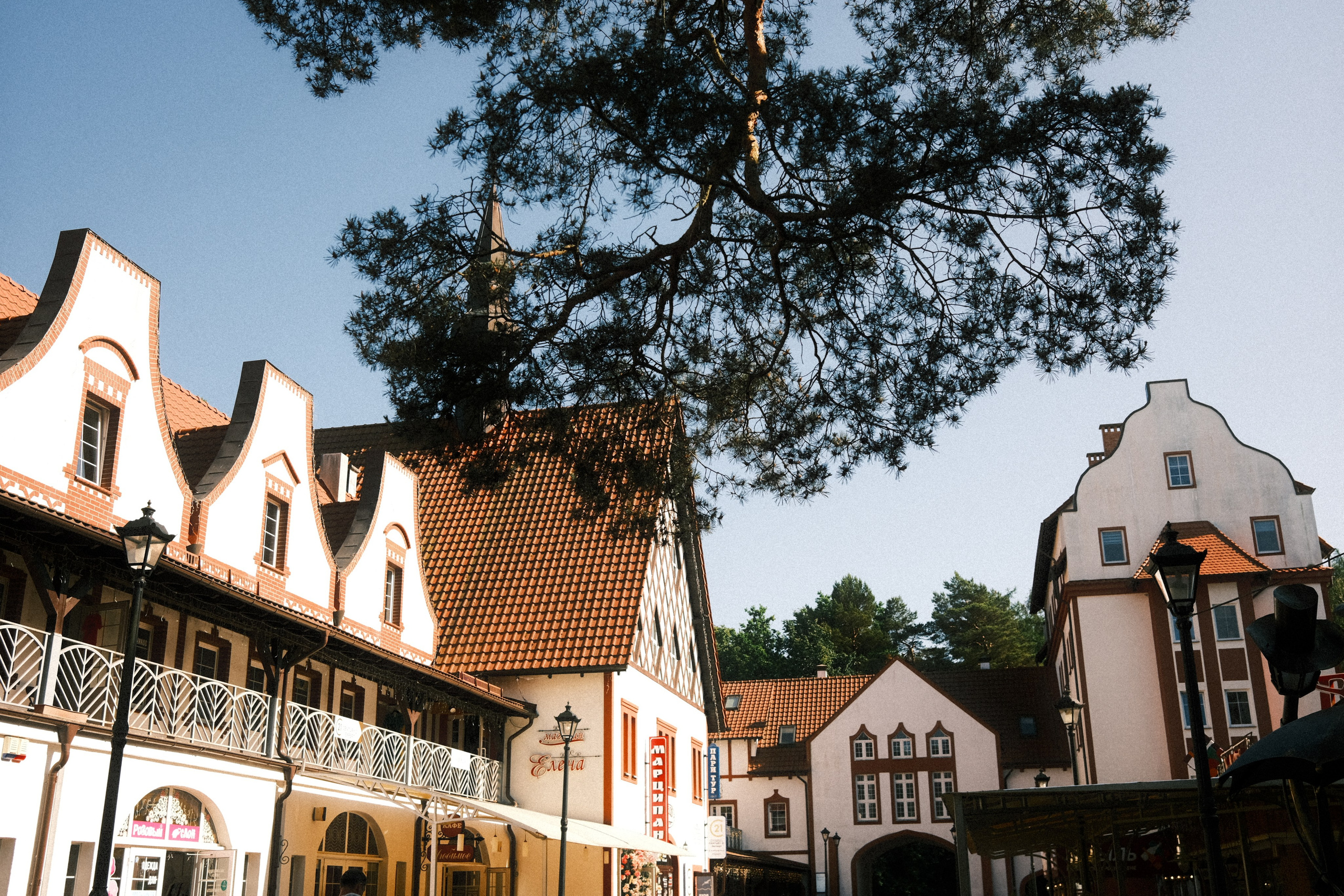 Калининградская область: любимые места. Семейная фотография, Анастасия Руднева, Москва