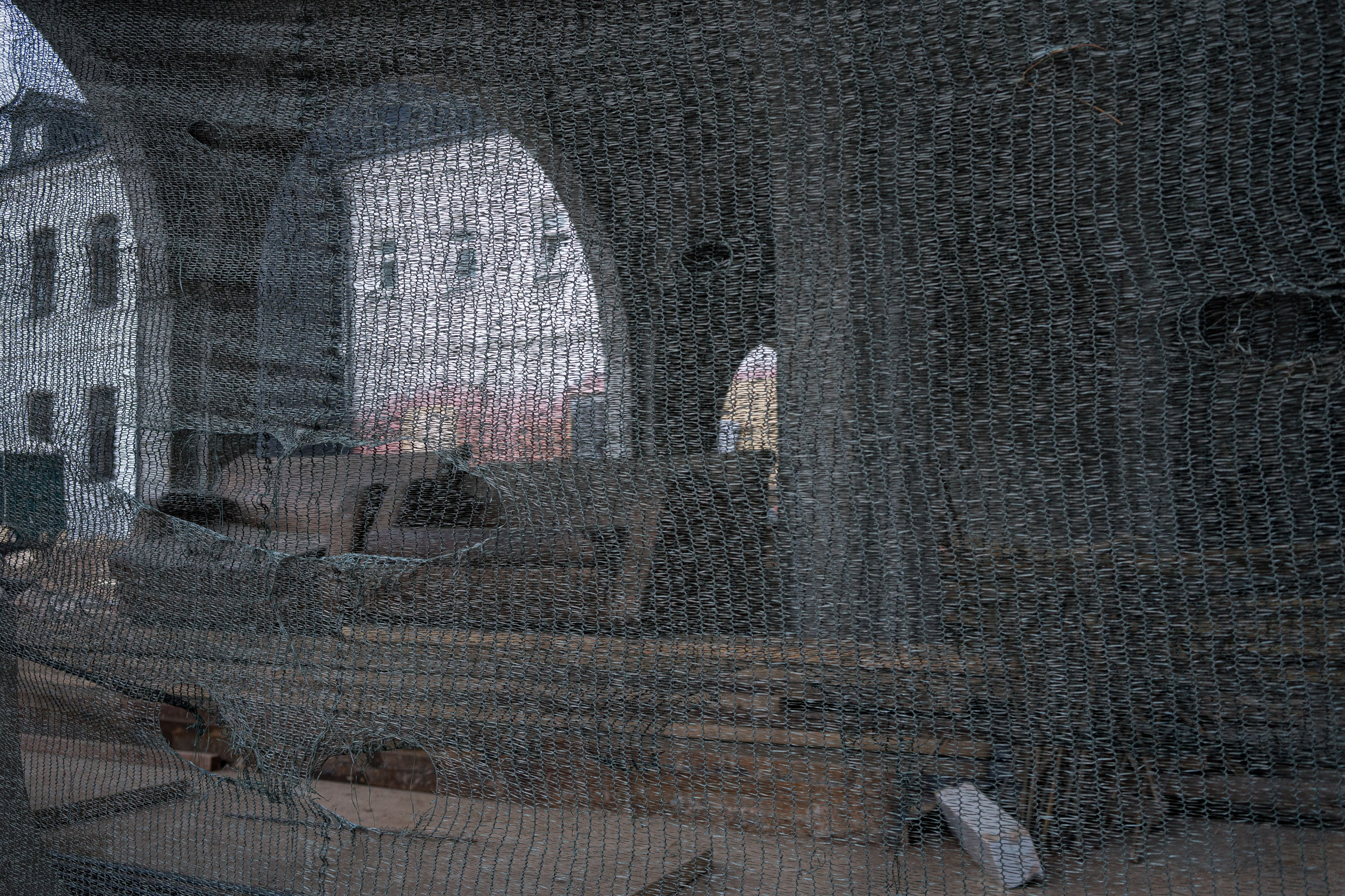 NO EDGE. Ksenia Pecherina