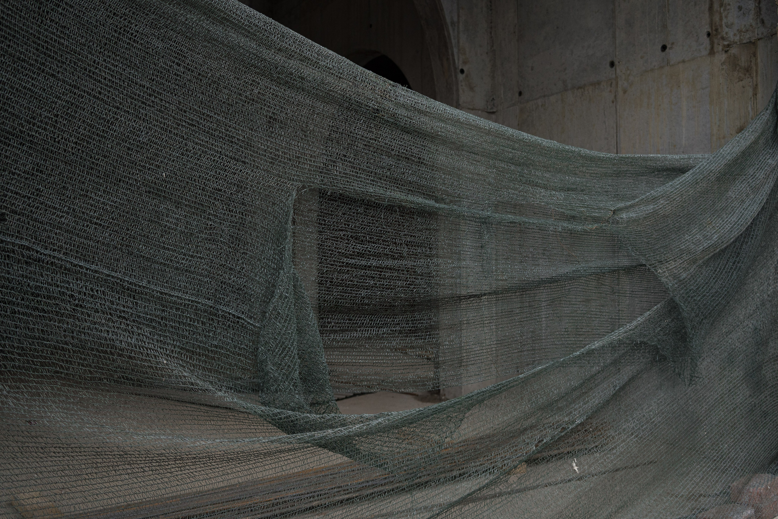 NO EDGE. Ksenia Pecherina