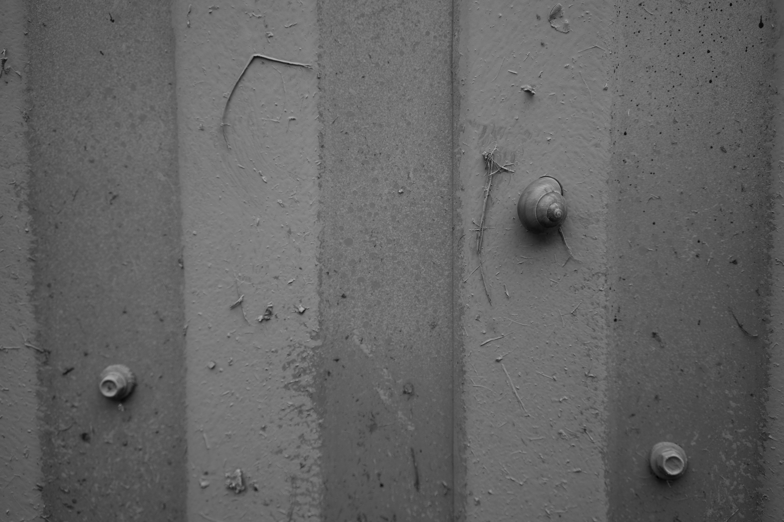 ATTACHMENTS. Ksenia Pecherina