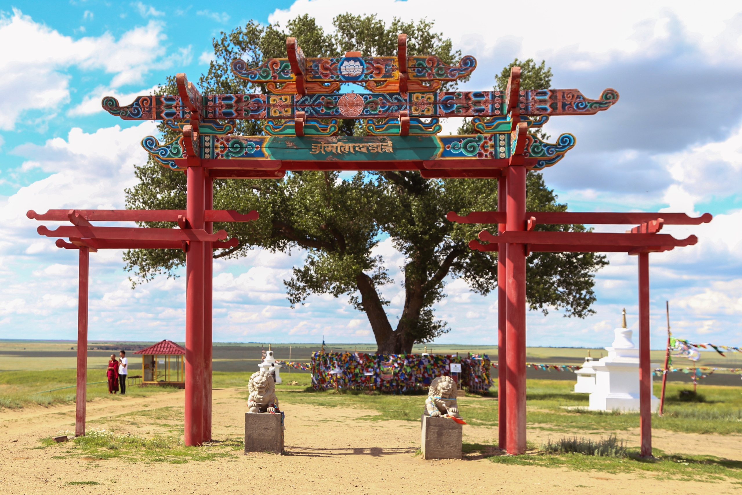 Фотопоездка в Калмыкию. Фотограф Тимофей Юров Москва