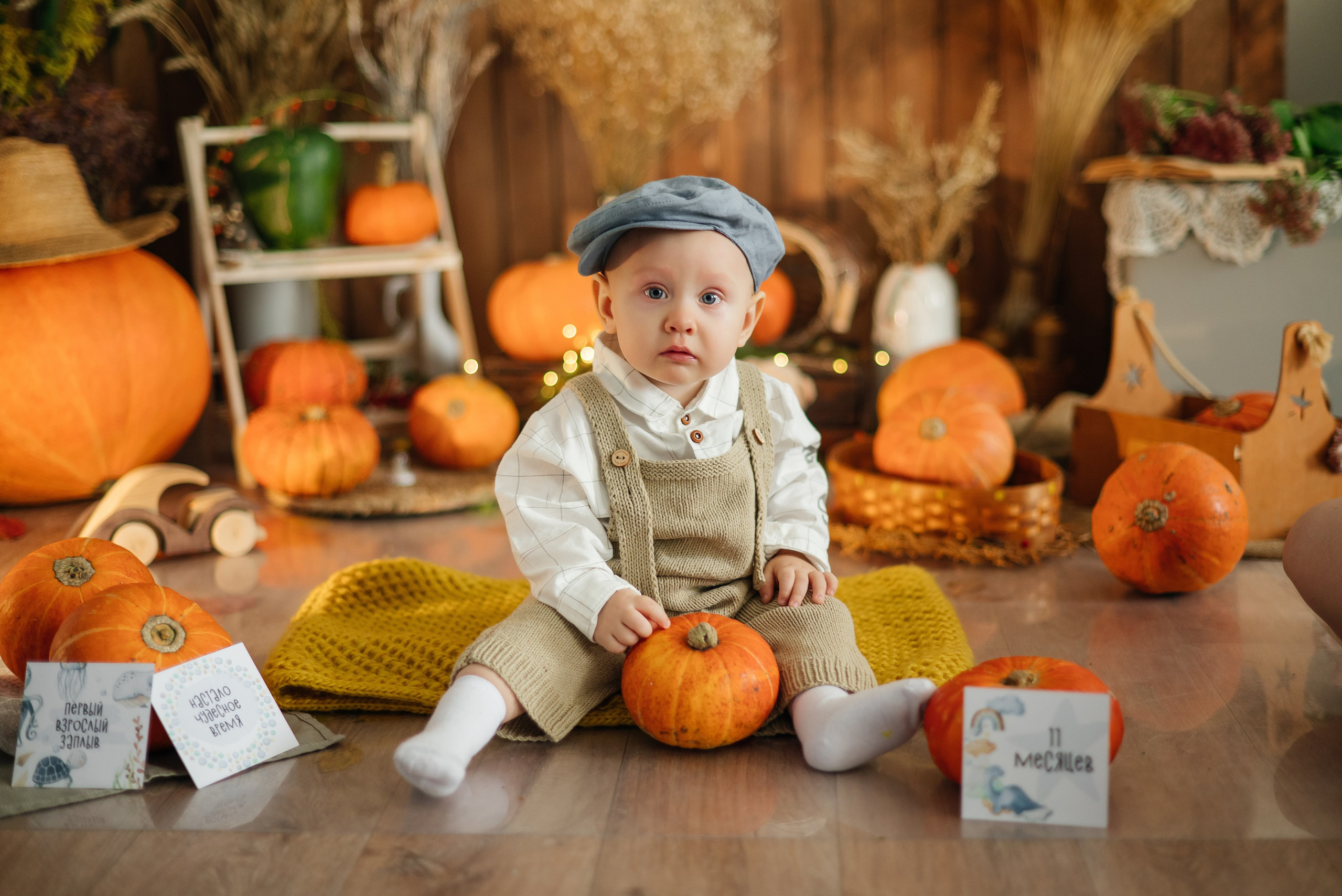 Годовое фотосопровождение. Свадебный, семейный и школьный фотограф в Бийске Ксения Мамаева