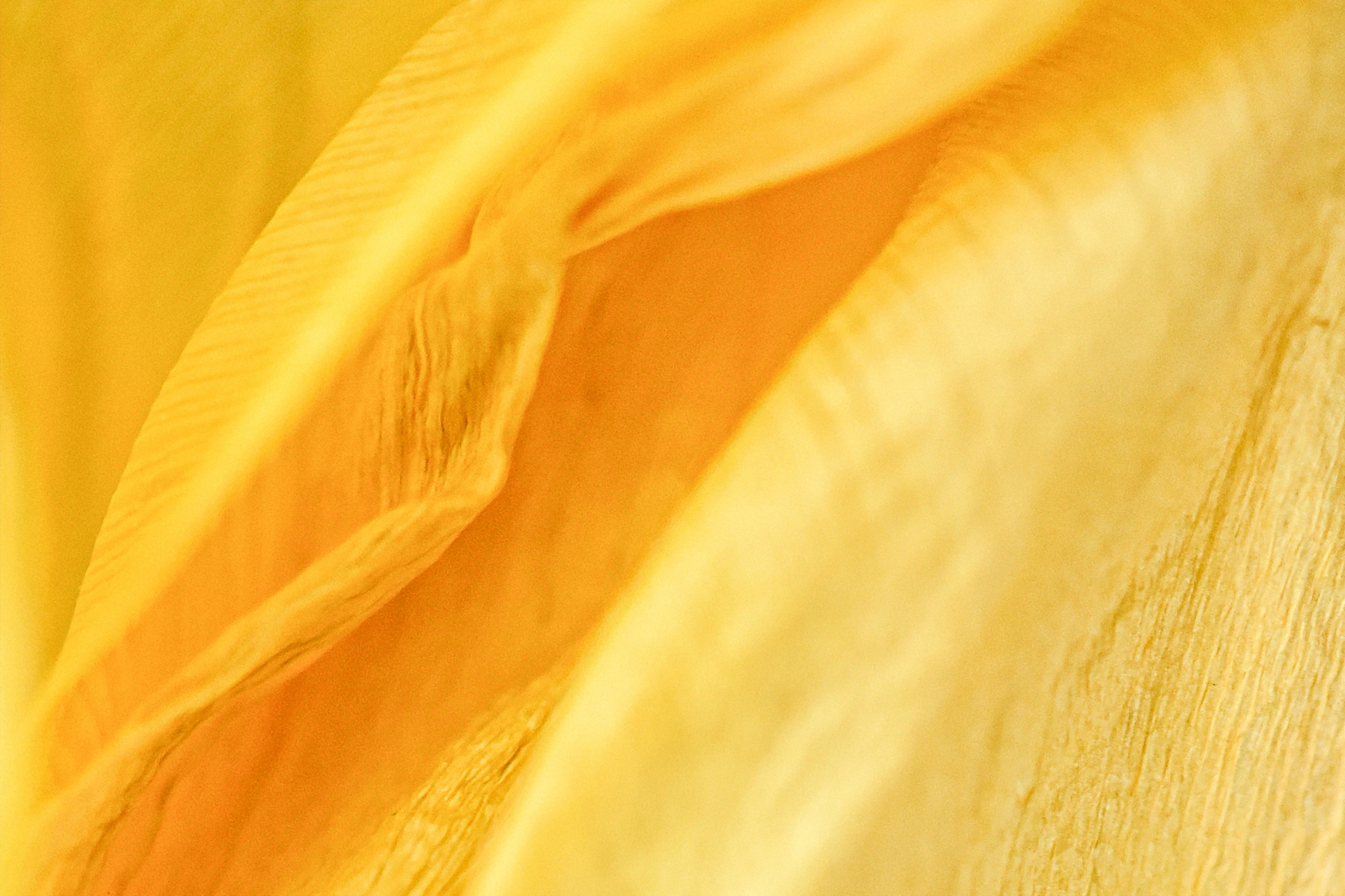 Кузьменко Людмила. ARTEXPOPHOTO