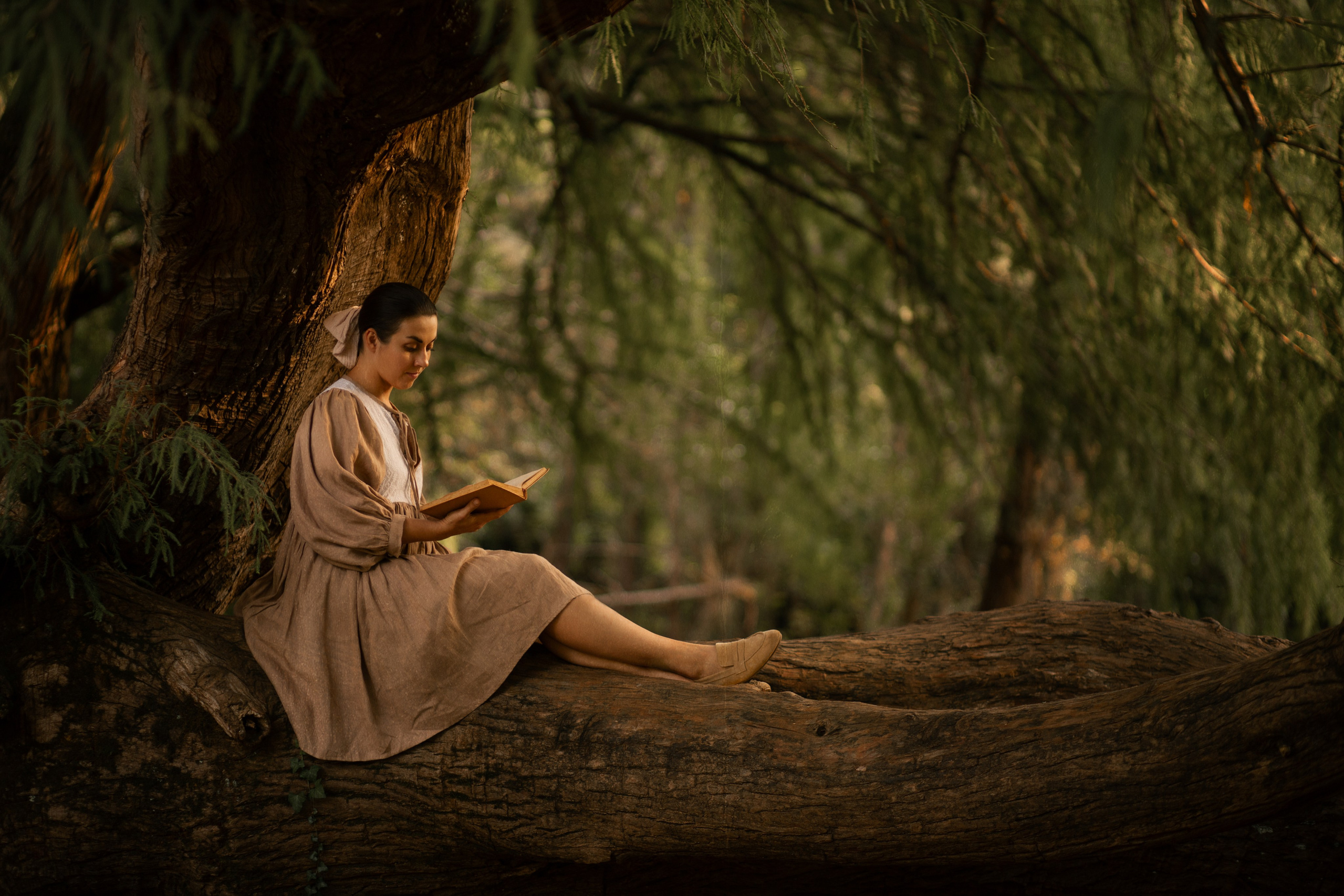 Услуги. Фотограф Алексин|Тула