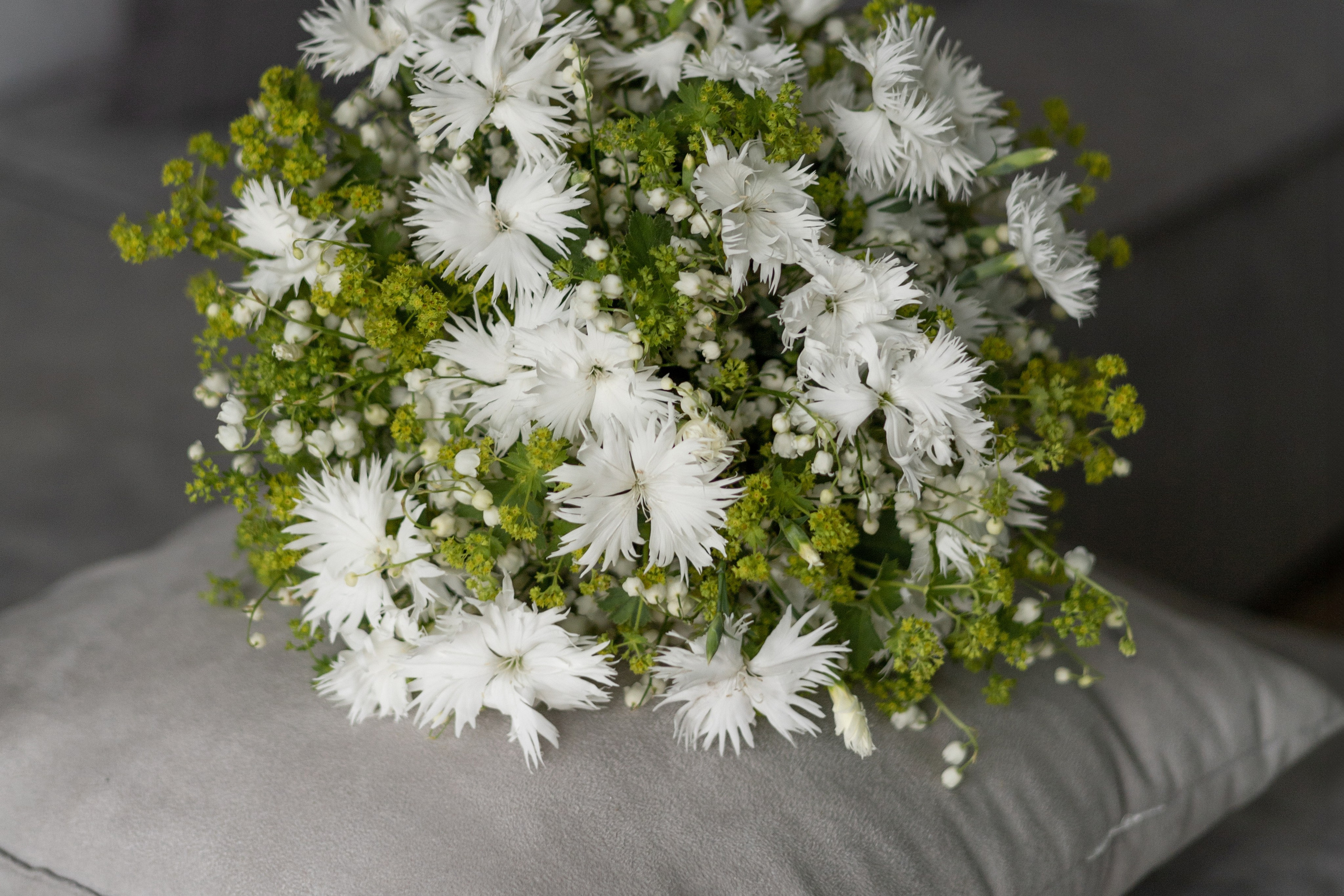 Услуги. Главная