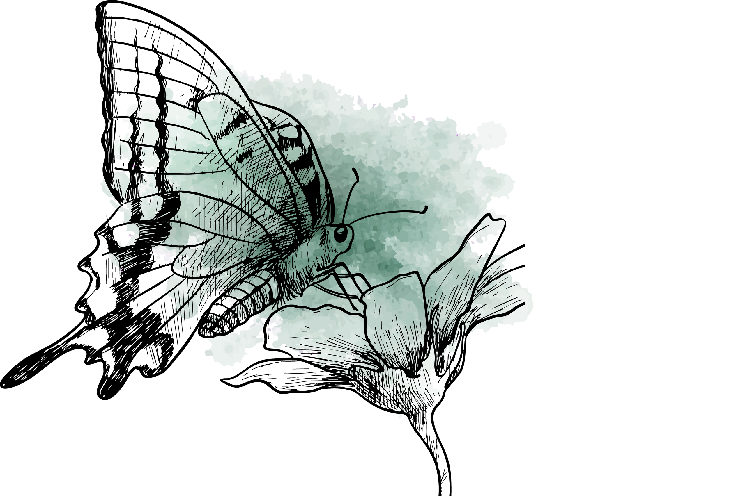 Летняя творческая практика для фотографов — как использовать визуальный код в фотографии