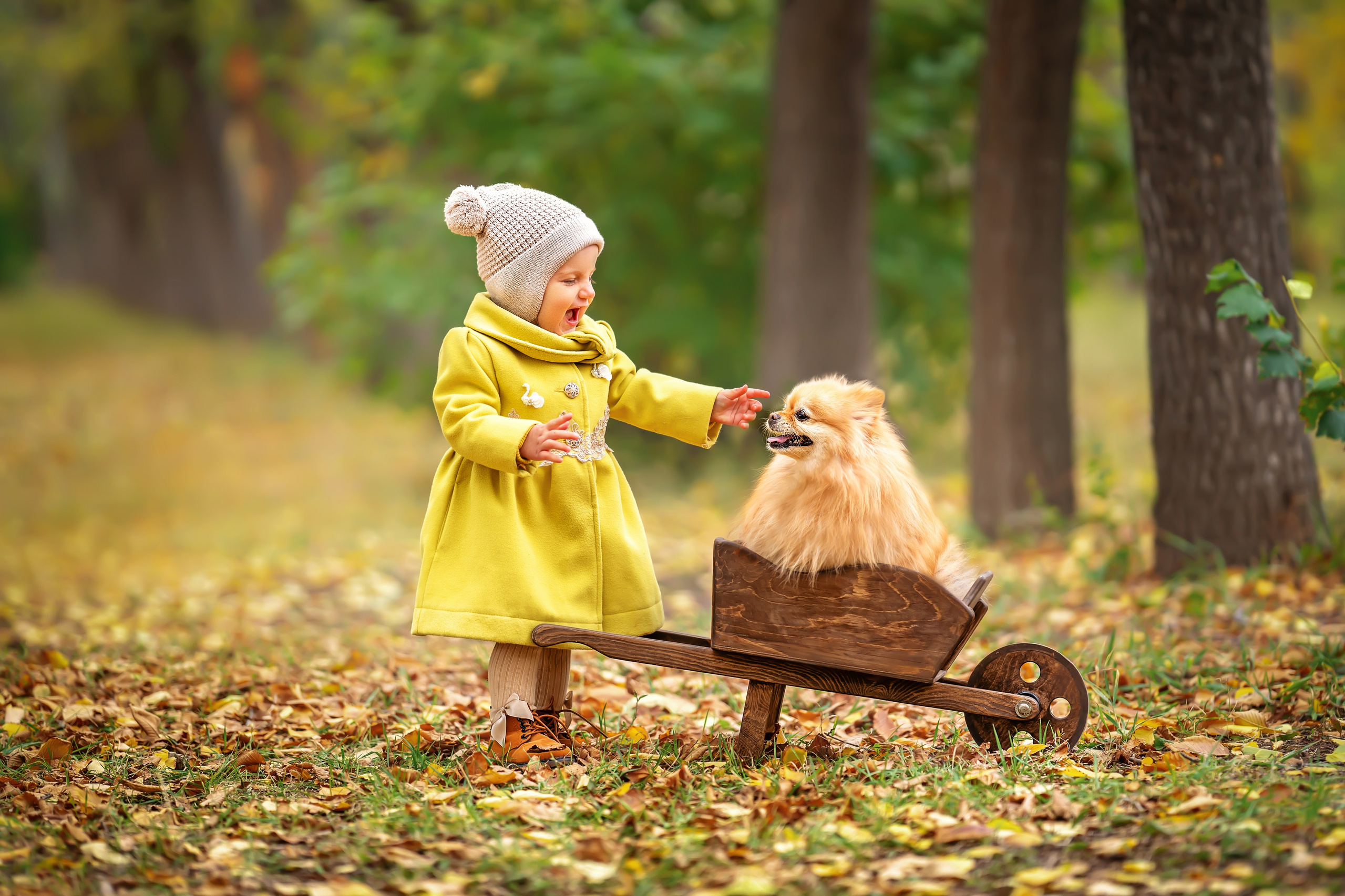 Услуги и цены. Семейный и детский фотограф в Бухаресте Катерина Ковач