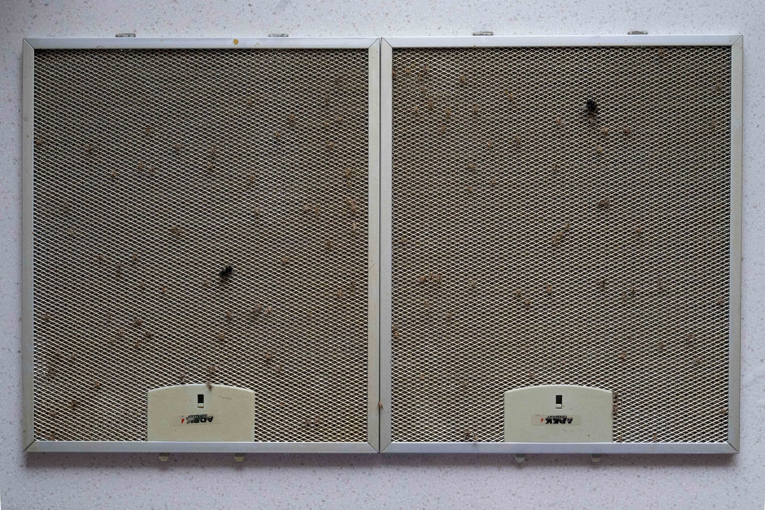 Бытовое. Могилевцева Дарья фотограф междисциплинарный художник