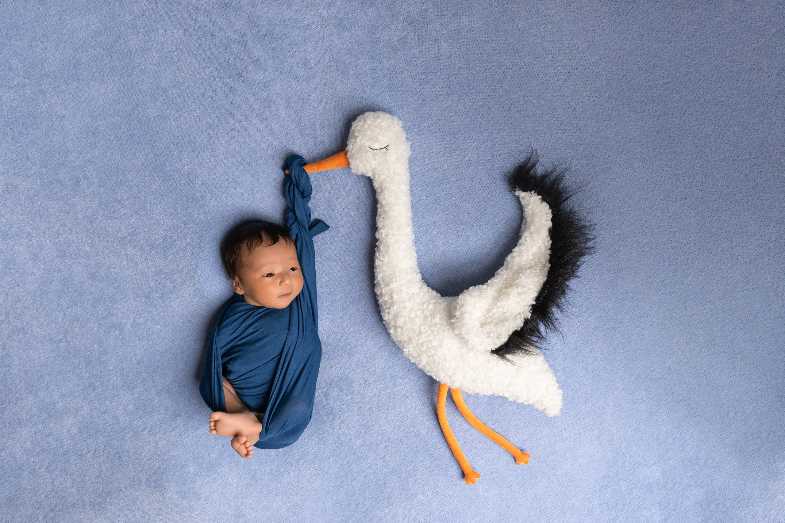 СТОИМОСТЬ. Контакты