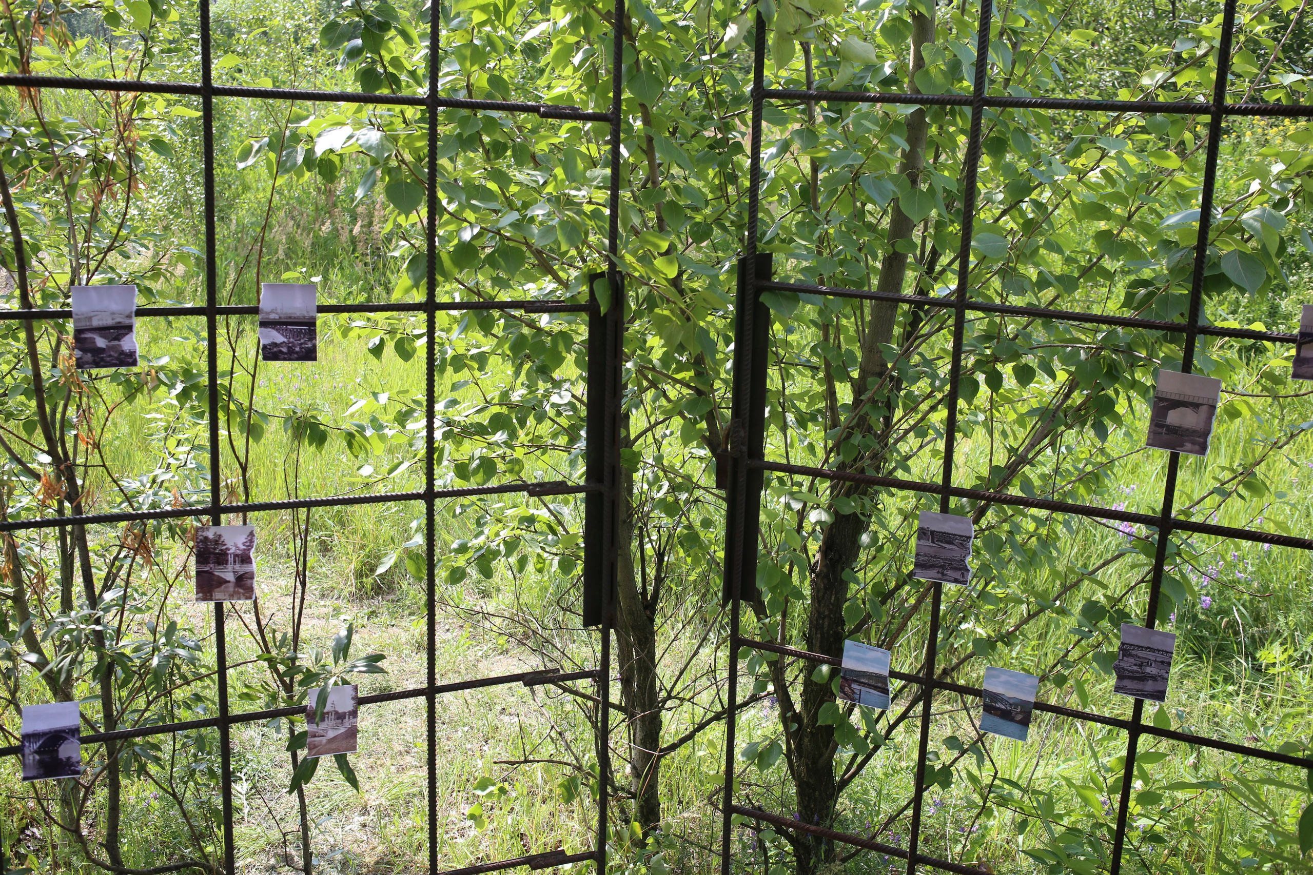 Митоз Андрей Шепель 29.06.2024