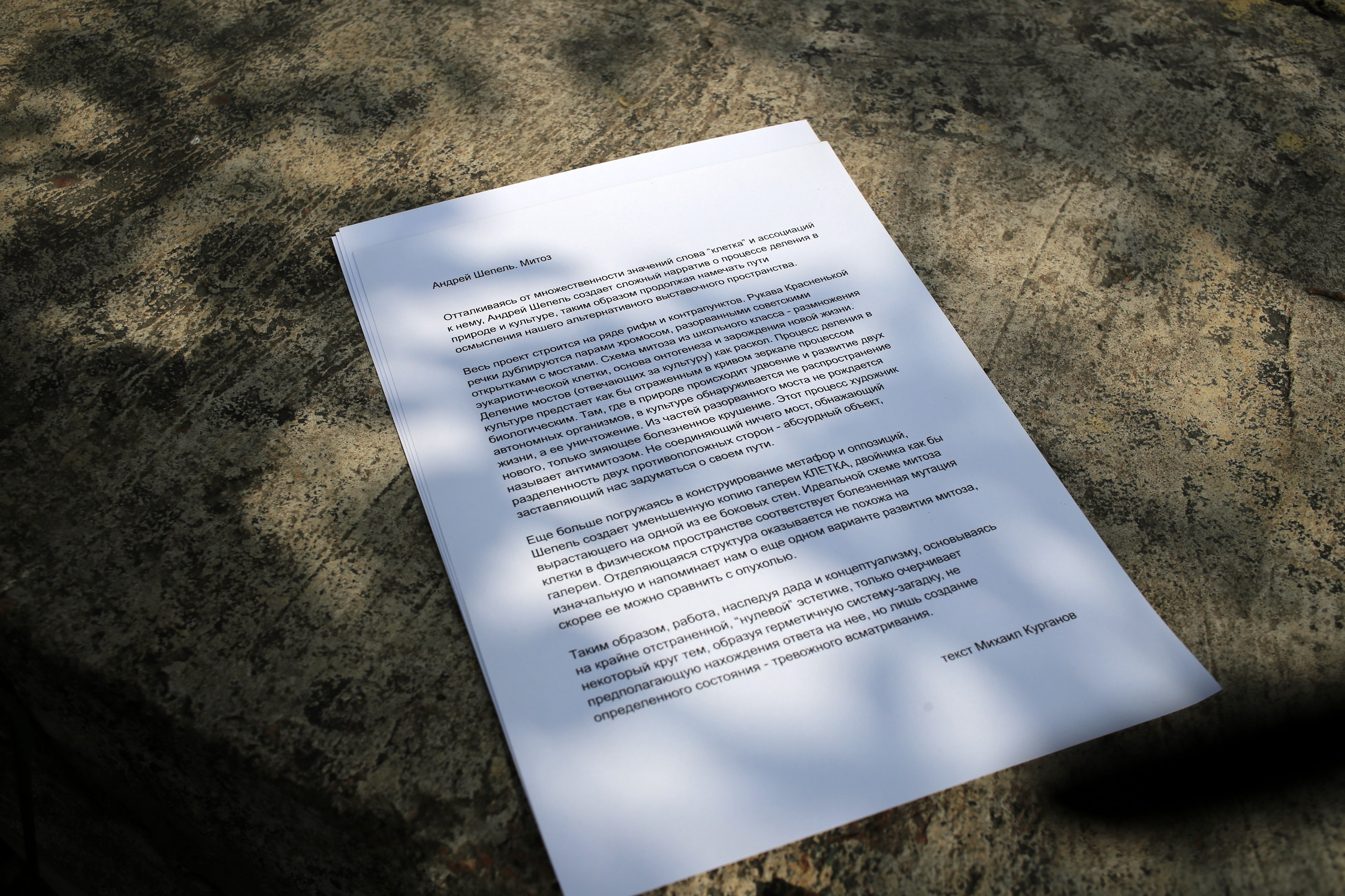 Митоз Андрей Шепель 29.06.2024