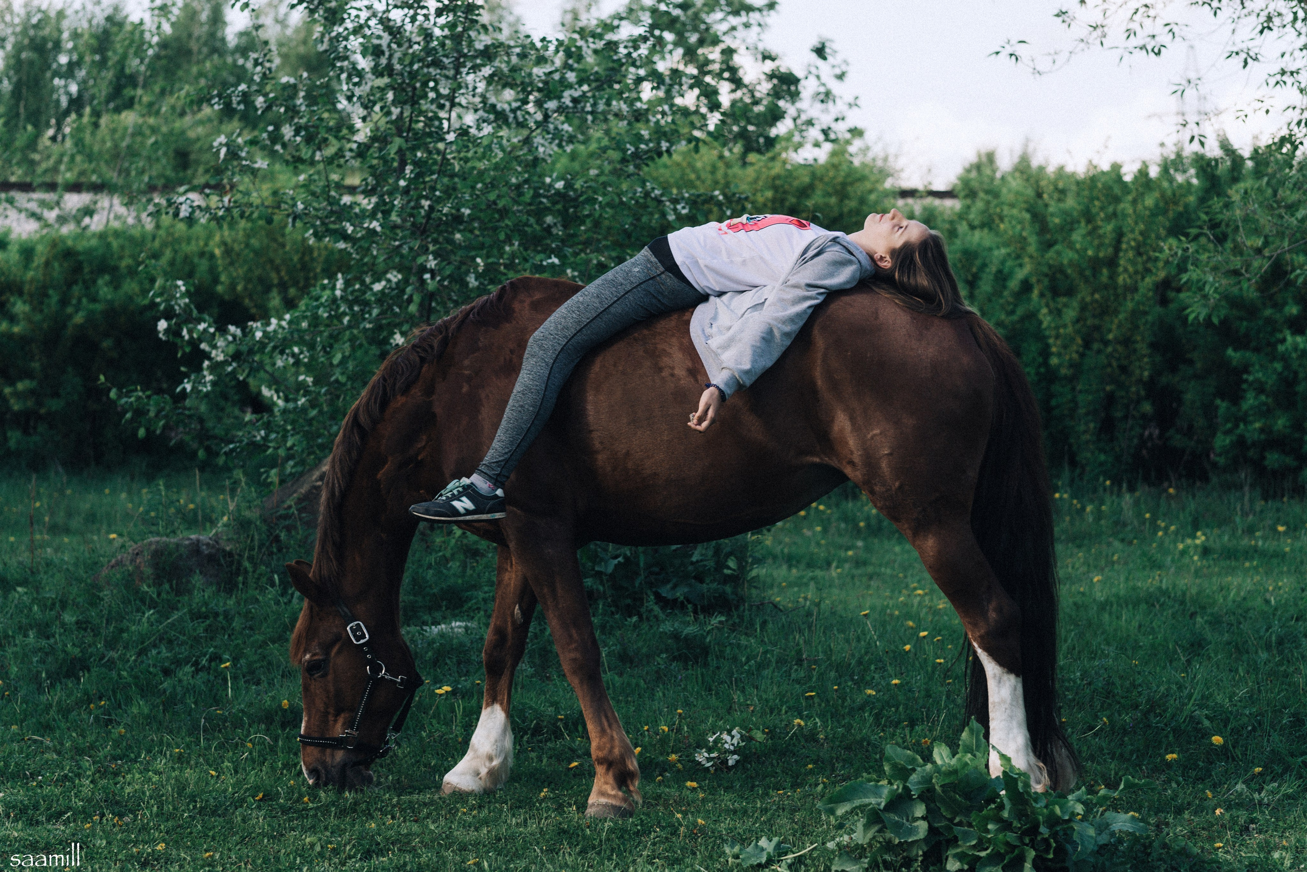 Если твоя мечта — фотосессия с лошадью. Saamill