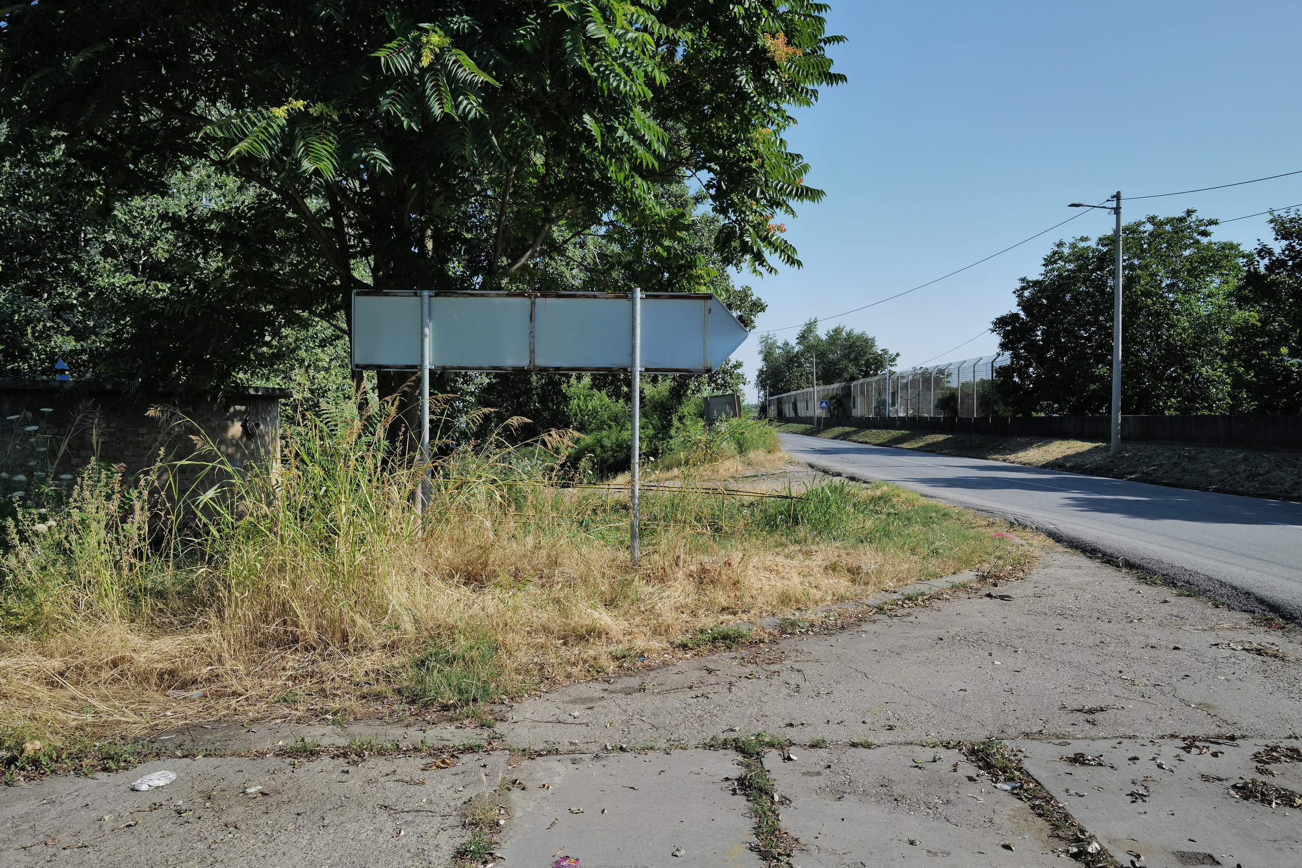 Кристина Разумова — О муравьях и улитке (пустая раковина, в которой утонули муравьи в капле морской воды)