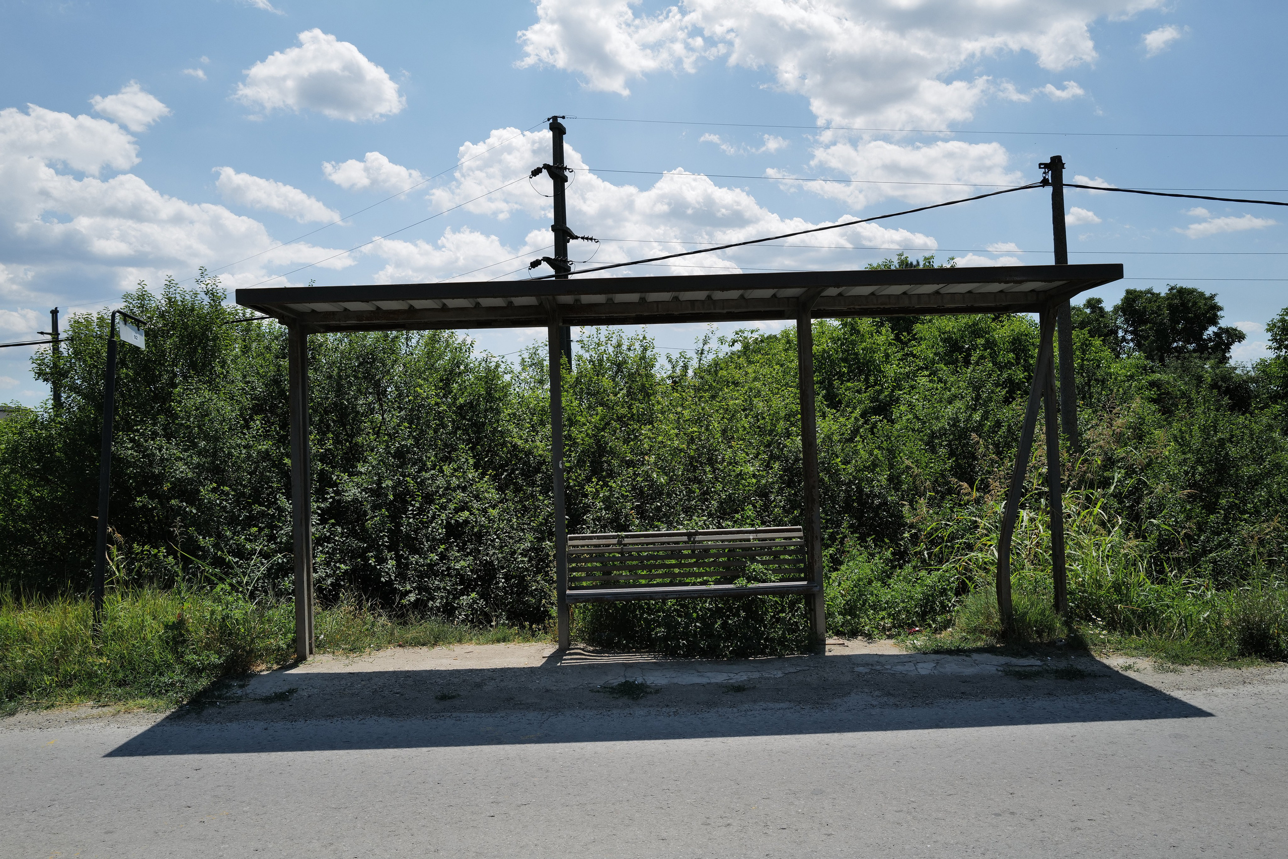 Кристина Разумова — О муравьях и улитке (пустая раковина, в которой утонули муравьи в капле морской воды)