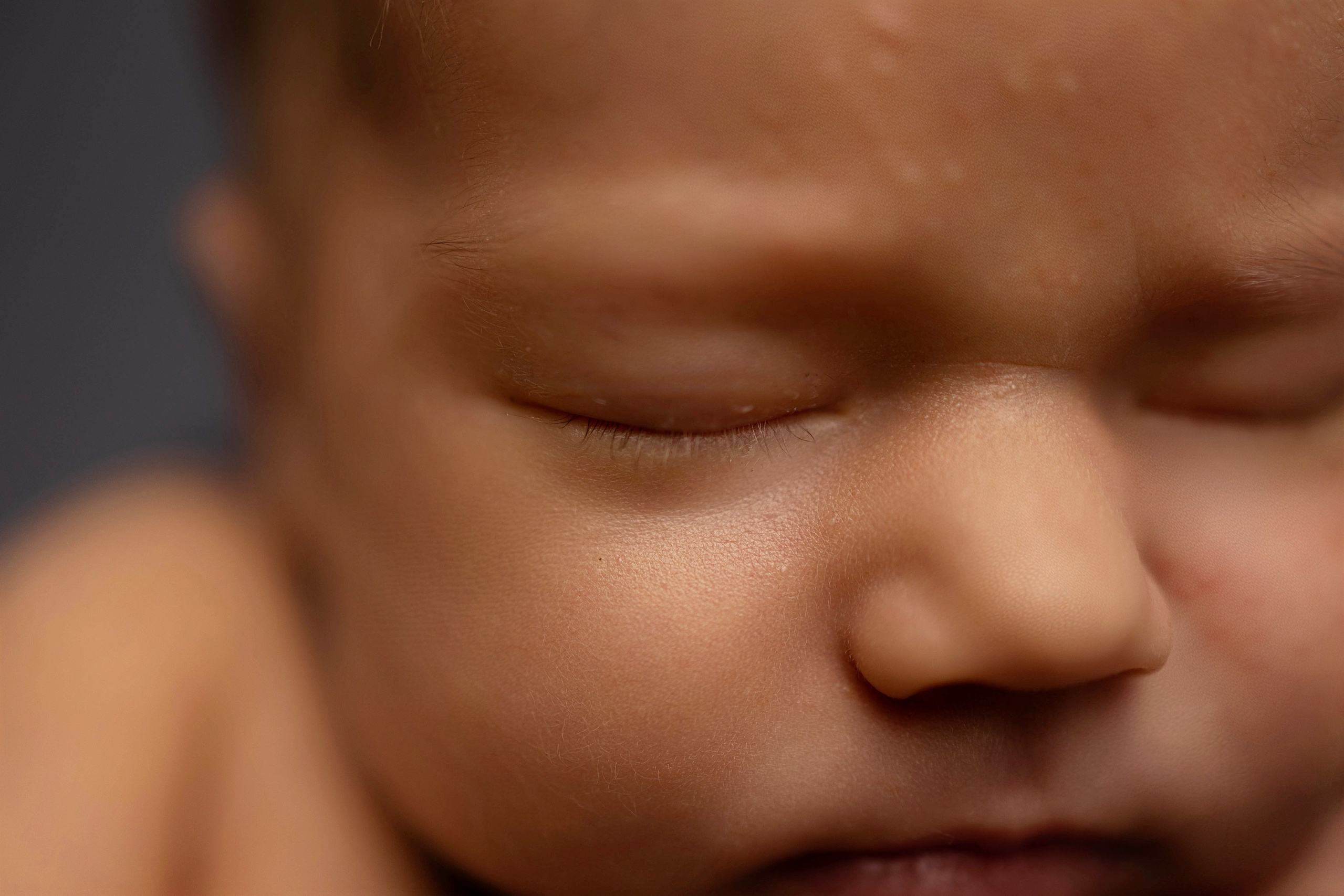 Услуги. ФОТОГРАФ НОВОРОЖДЁННЫХ САНКТ-ПЕТЕРБУРГ — ДАРЬЯ ПОПОВА