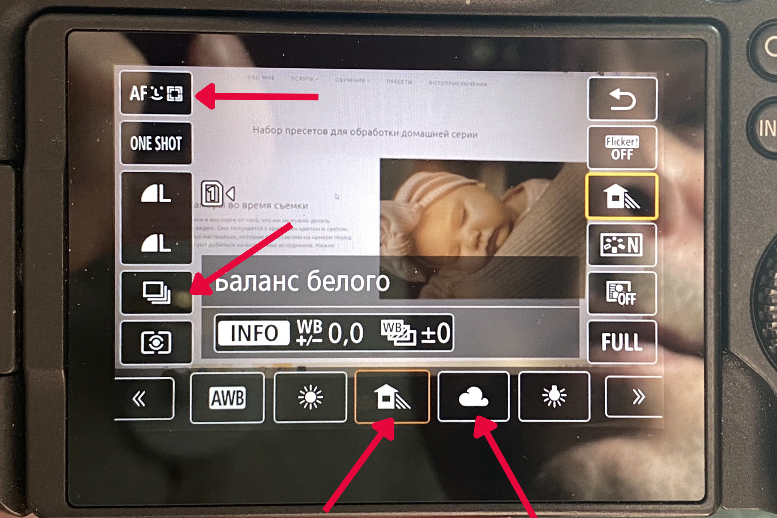 Набор пресетов для lightroom. Фотограф и видеограф Елена Лисина