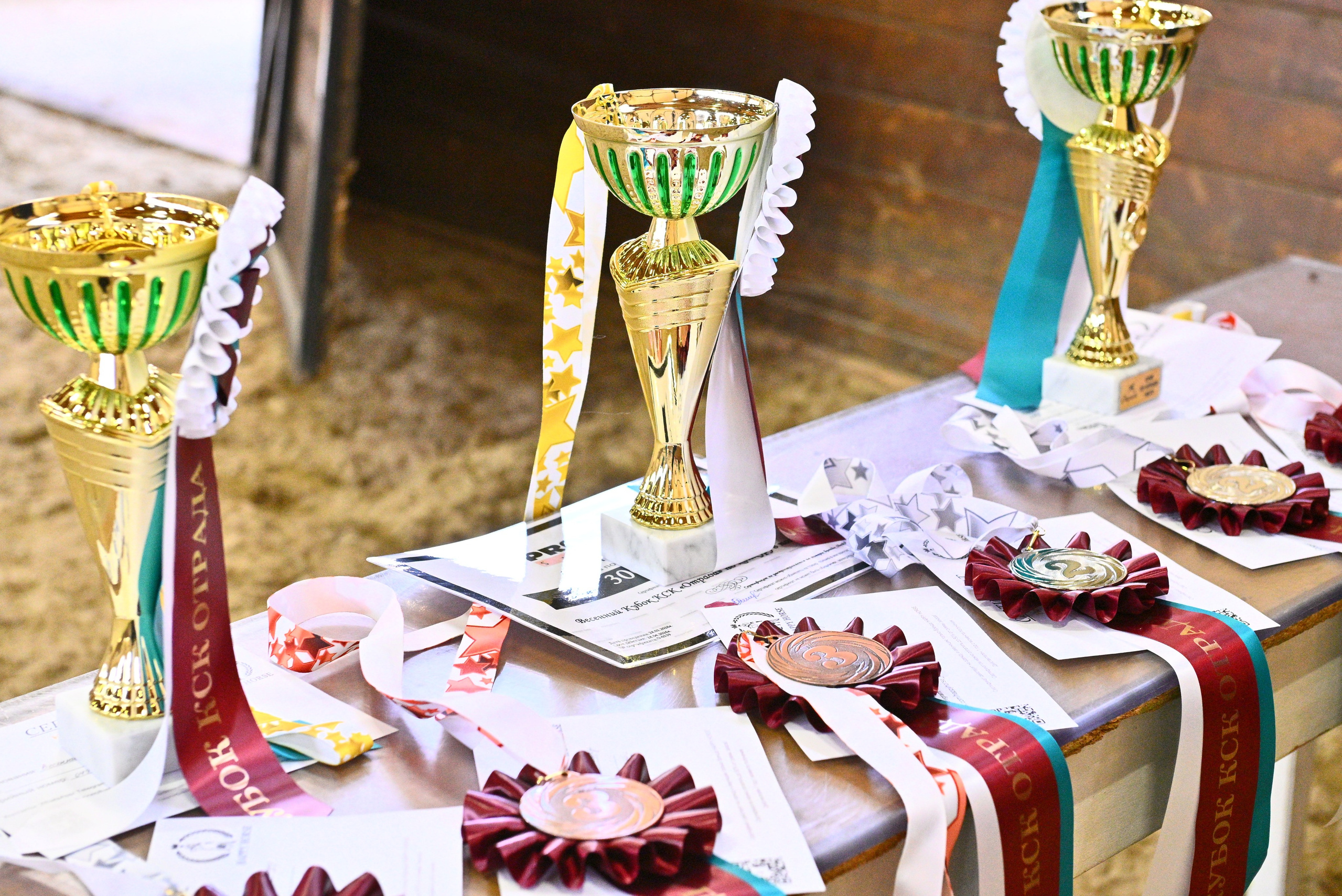 2026-03-28 КСК оТРАДА (КОНКУР). ТУРНИРНАЯ КОННАЯ ФОТОГРАФИЯ, Руднева Ольга и Евгений Адеев