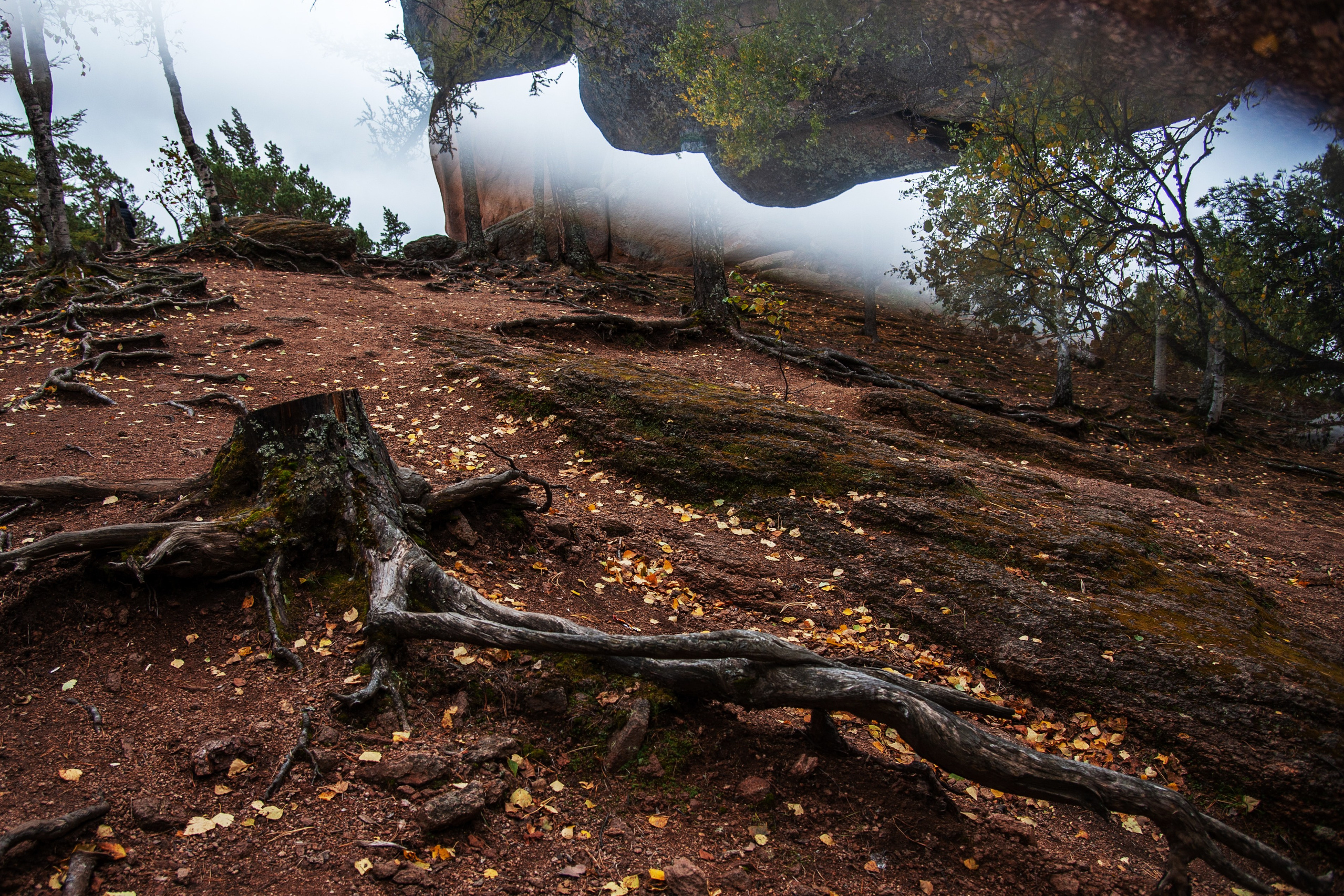 Работы, сделанные в Арт-резиденции «Красноярские столбы». Арт-фотография, терапевтическая фотография в Москве. Фотограф Анна Ермолова