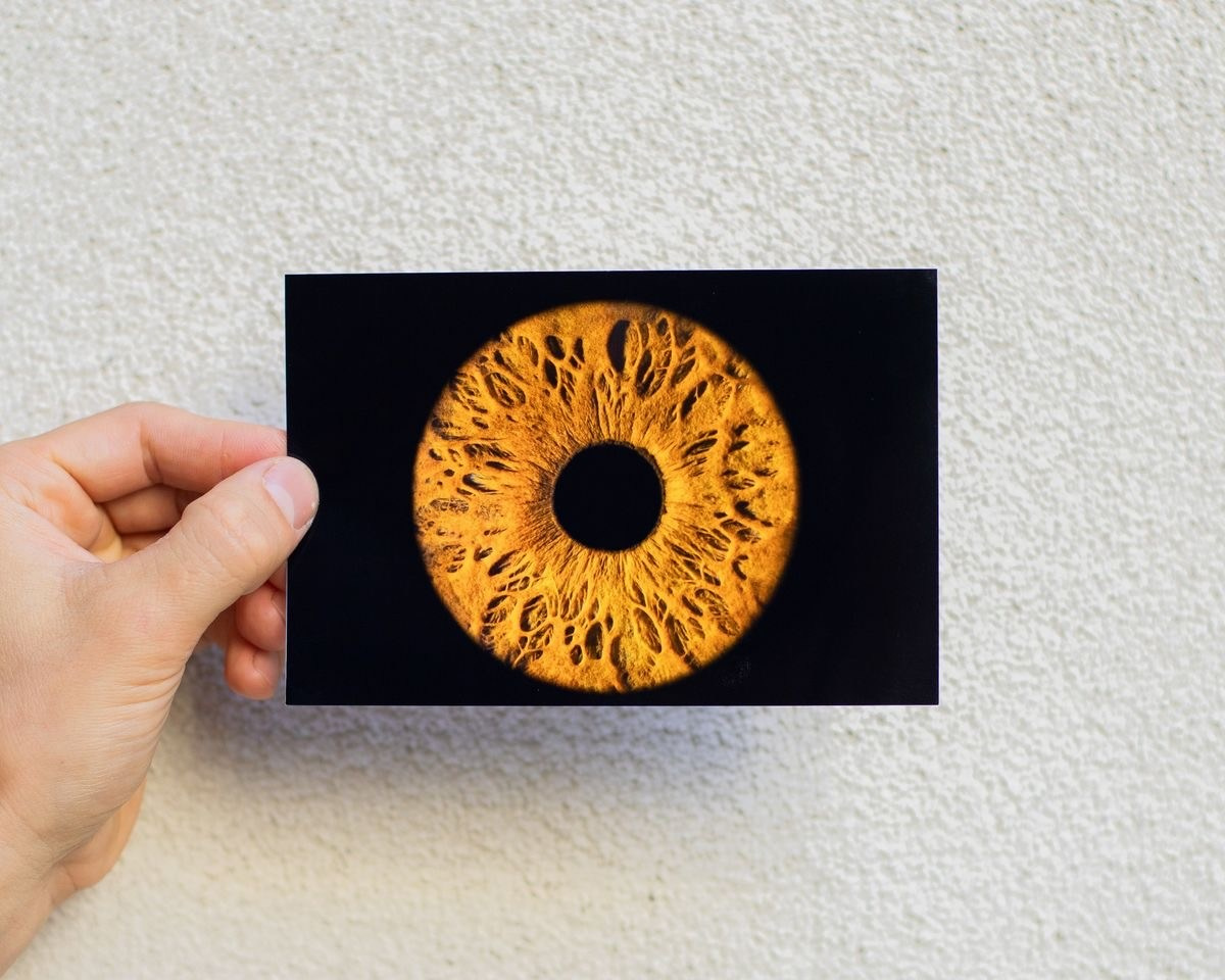 Выезд на мероприятия. Фото радужки глаза LOOK IN