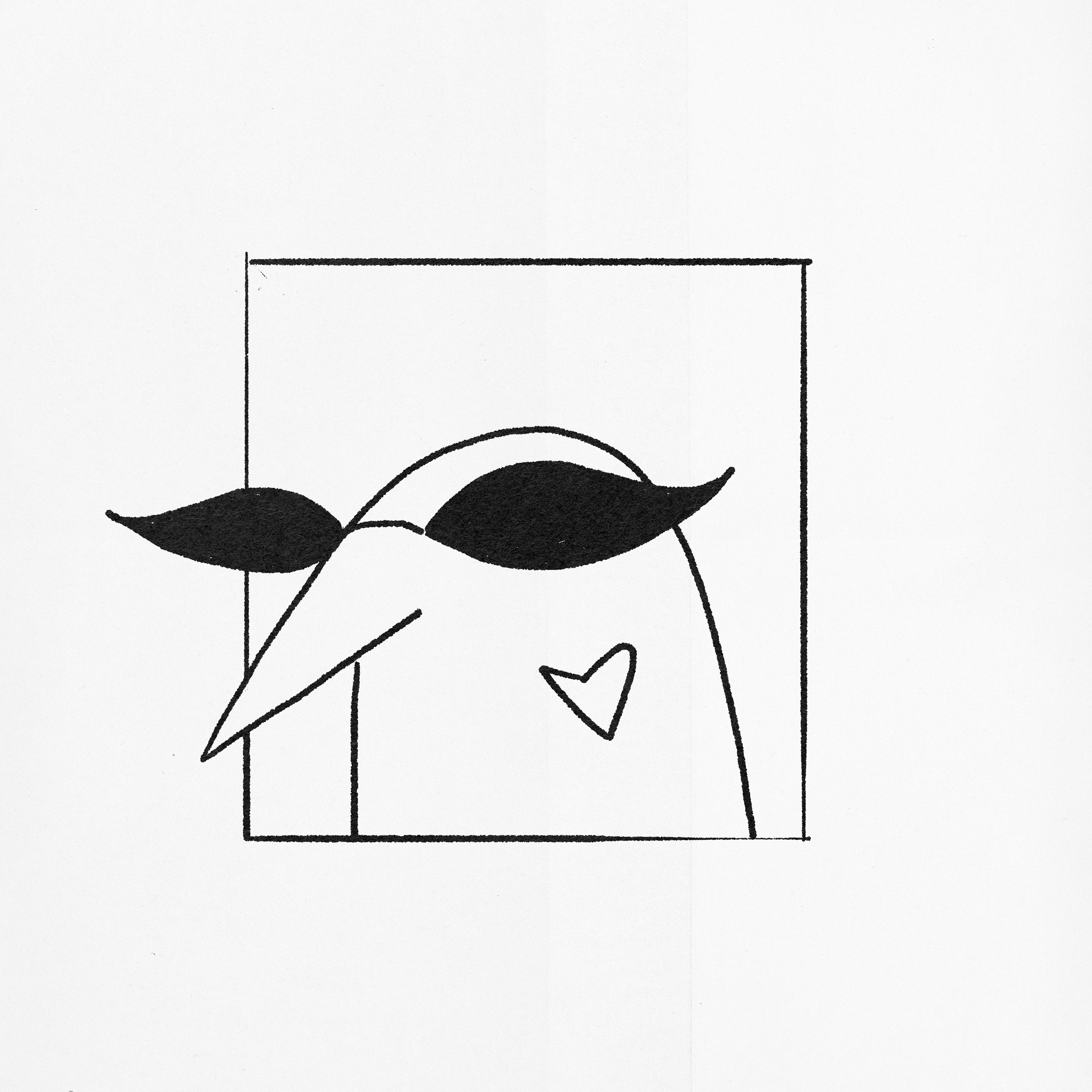 Birdcrush. Portfolio Birdcrush