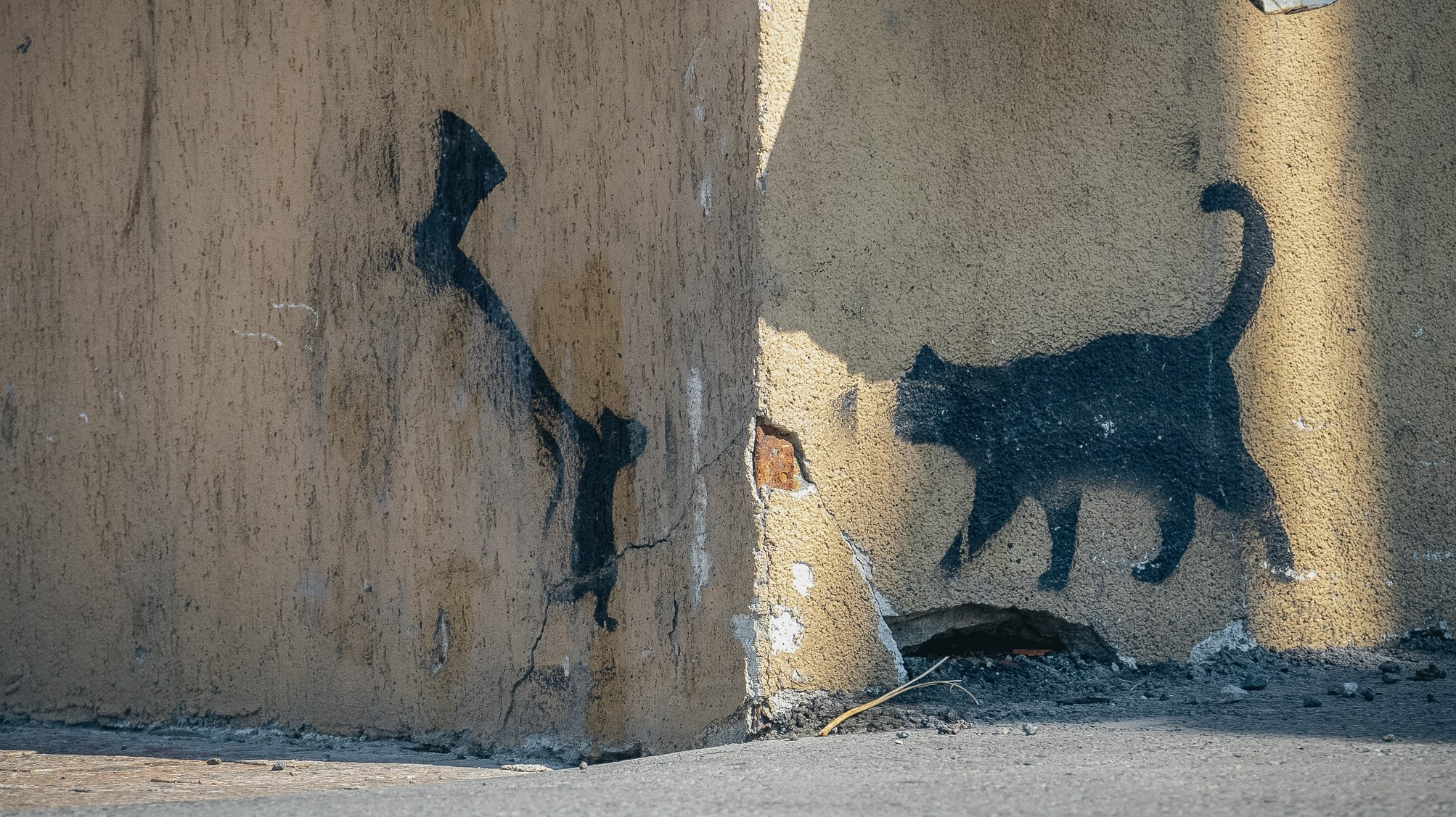 Стрит-арт: шедевры и среднячок на улицах Тюмени