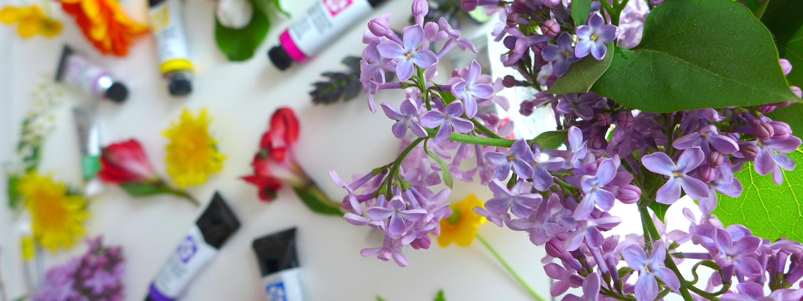 О себе. Профессиональный фотограф в Москве, Измайлово